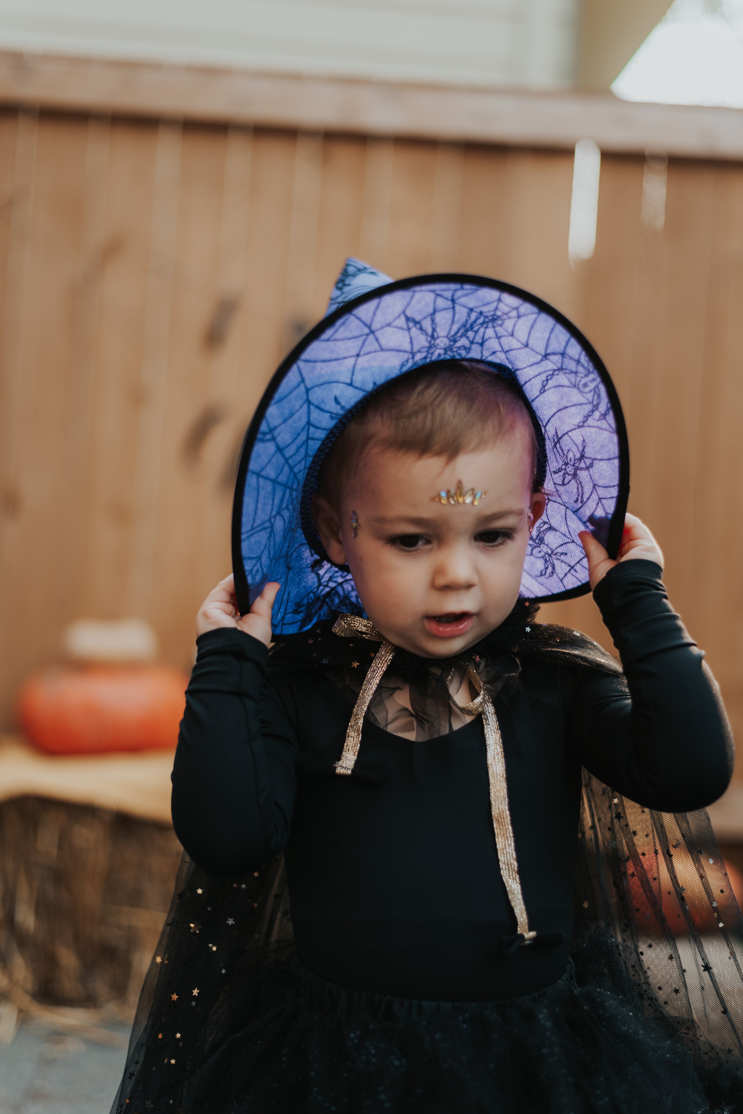 Emilia2nd-4.jpg