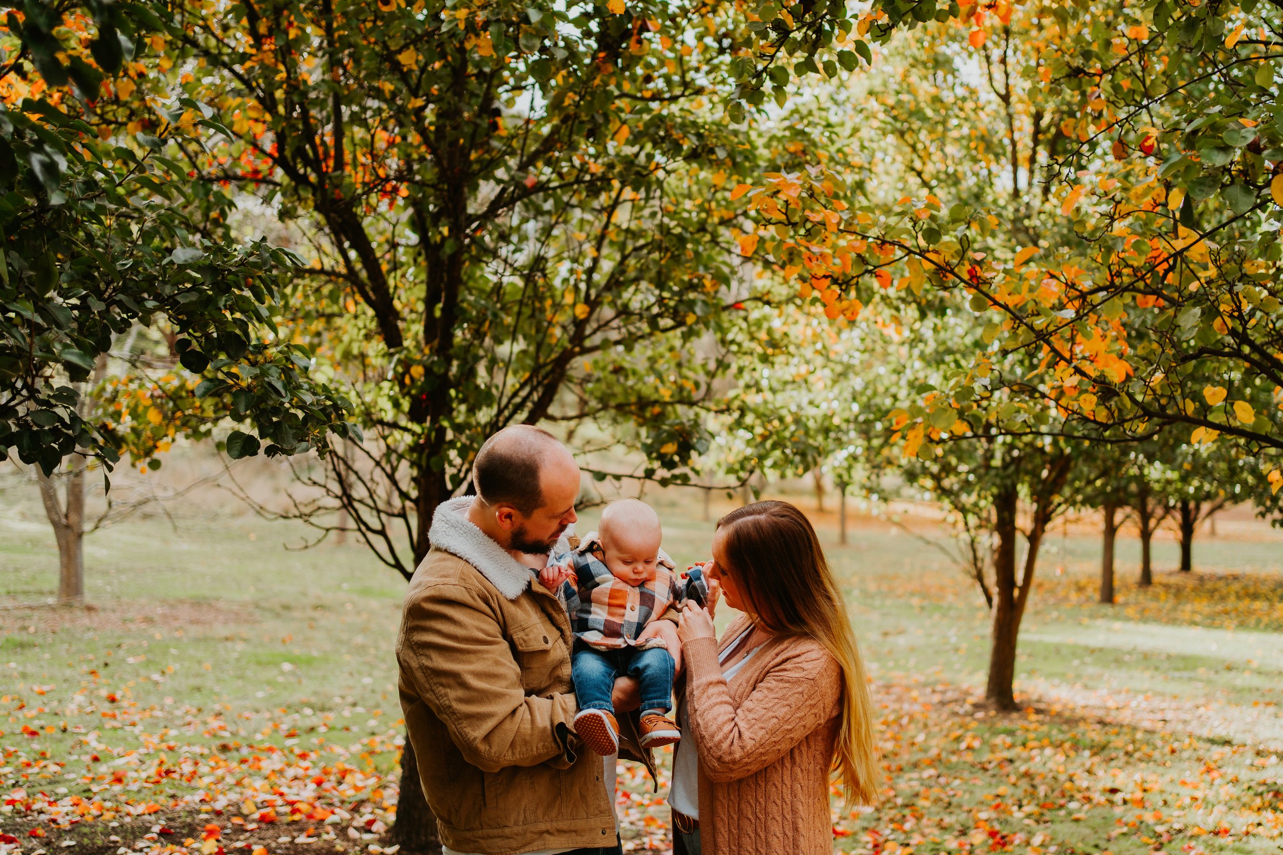 Hudson is 6 months old!-48.jpg