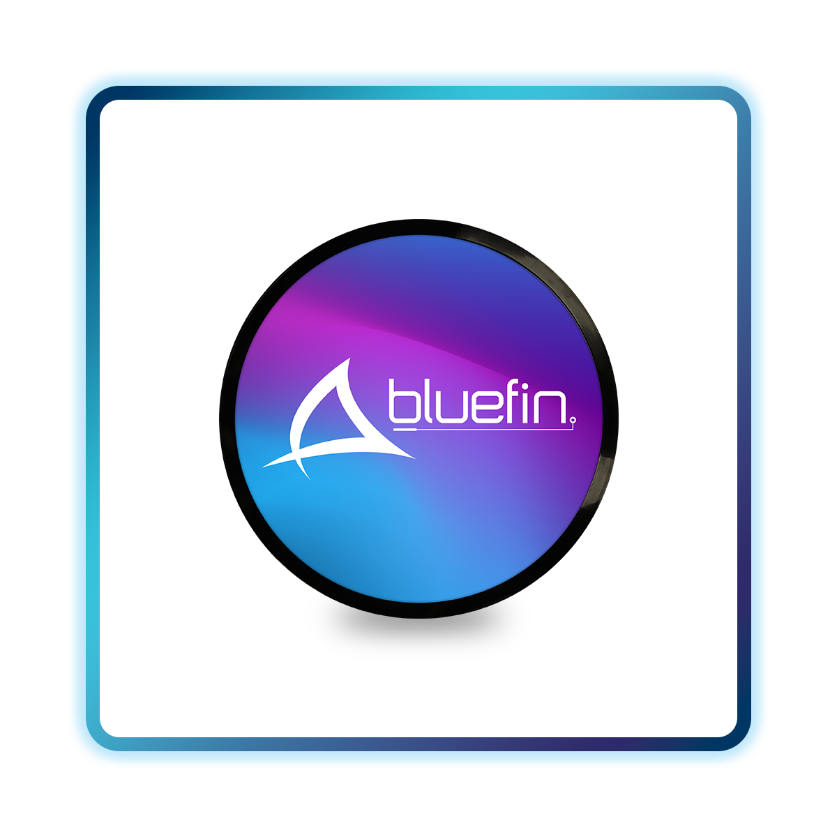 Bluefin Unique Screens