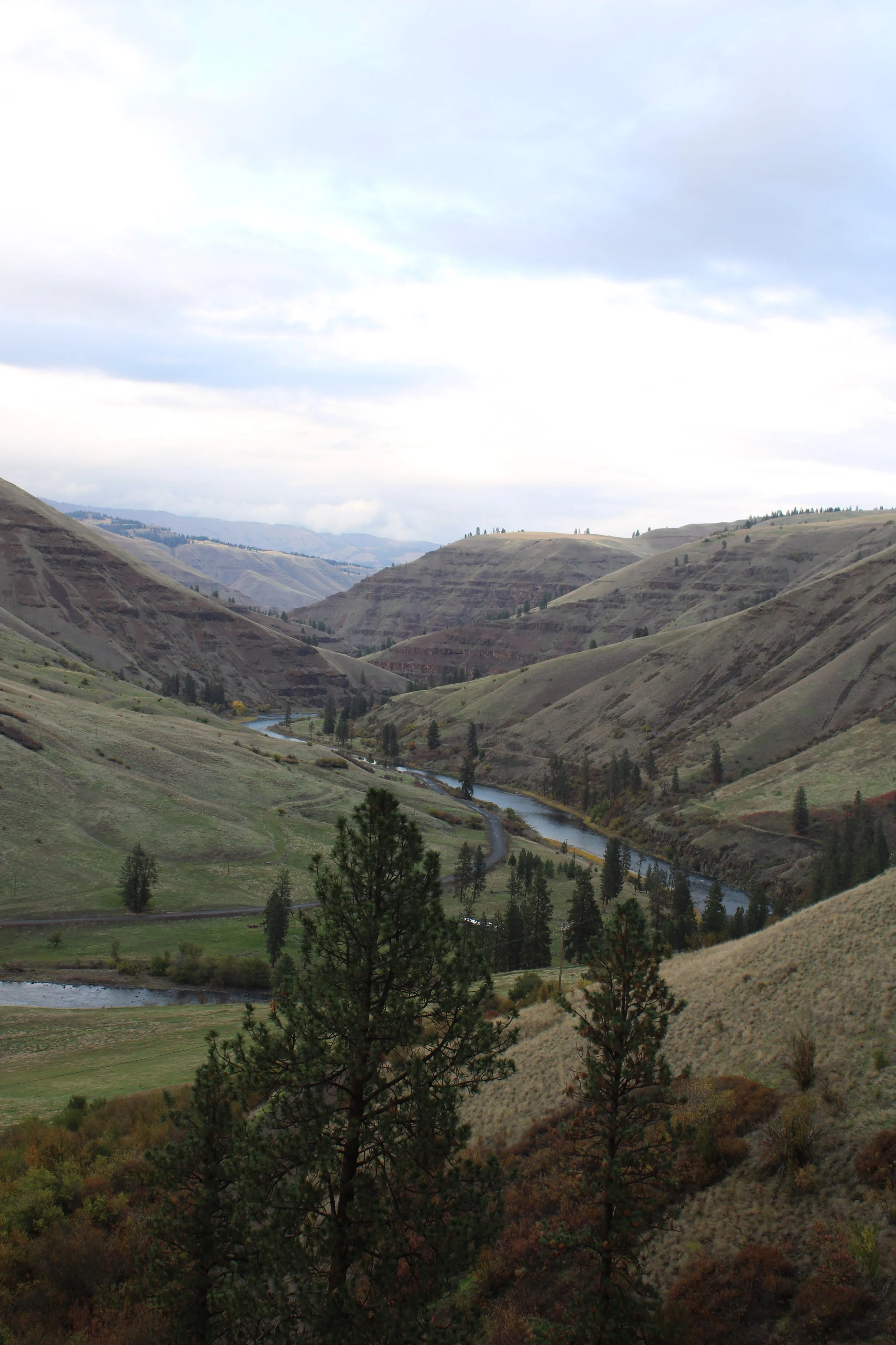 Water Levels — ANGLERS Fly Shop