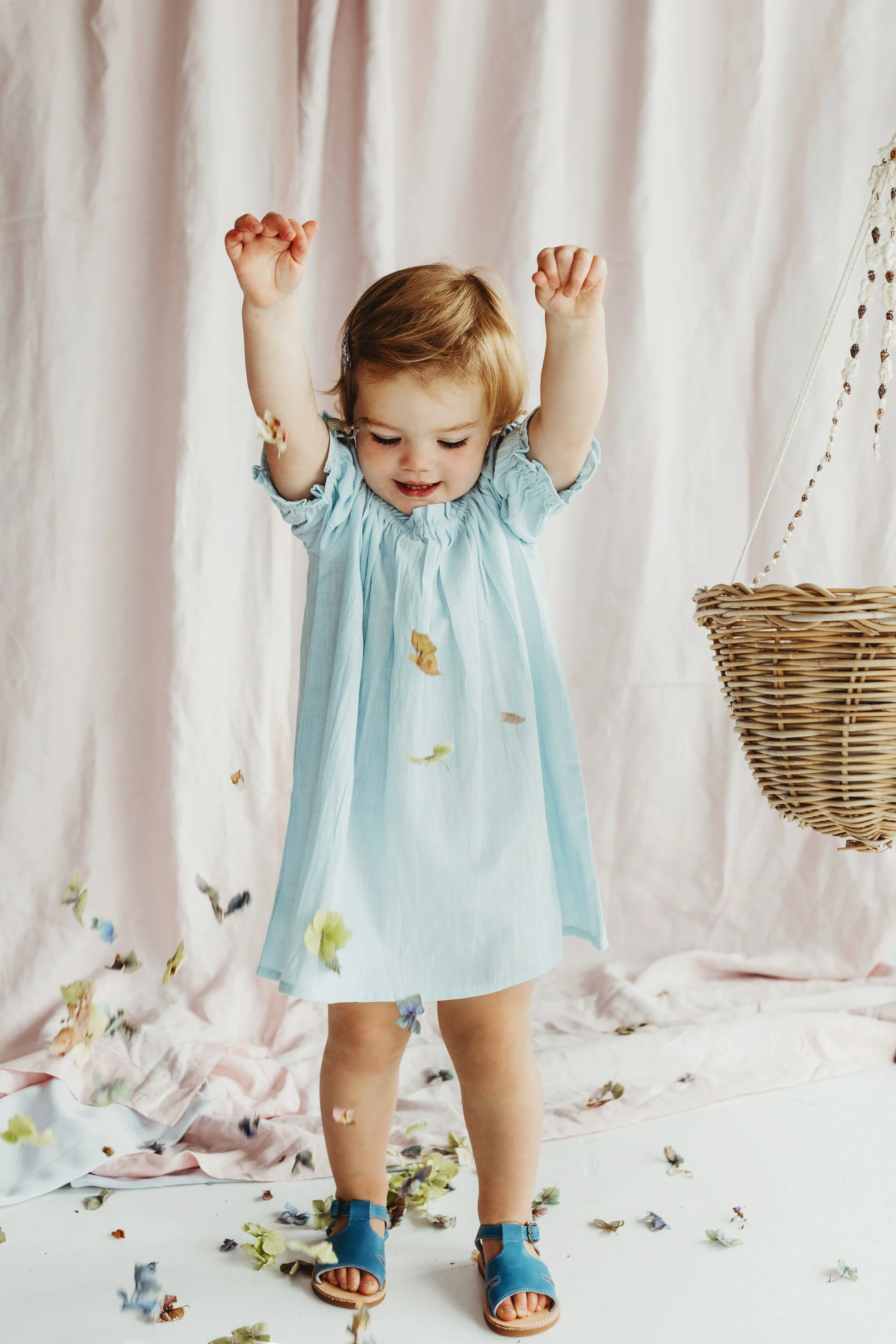 Toddler thrown flower petals in studio photo shoot in Tasmania.