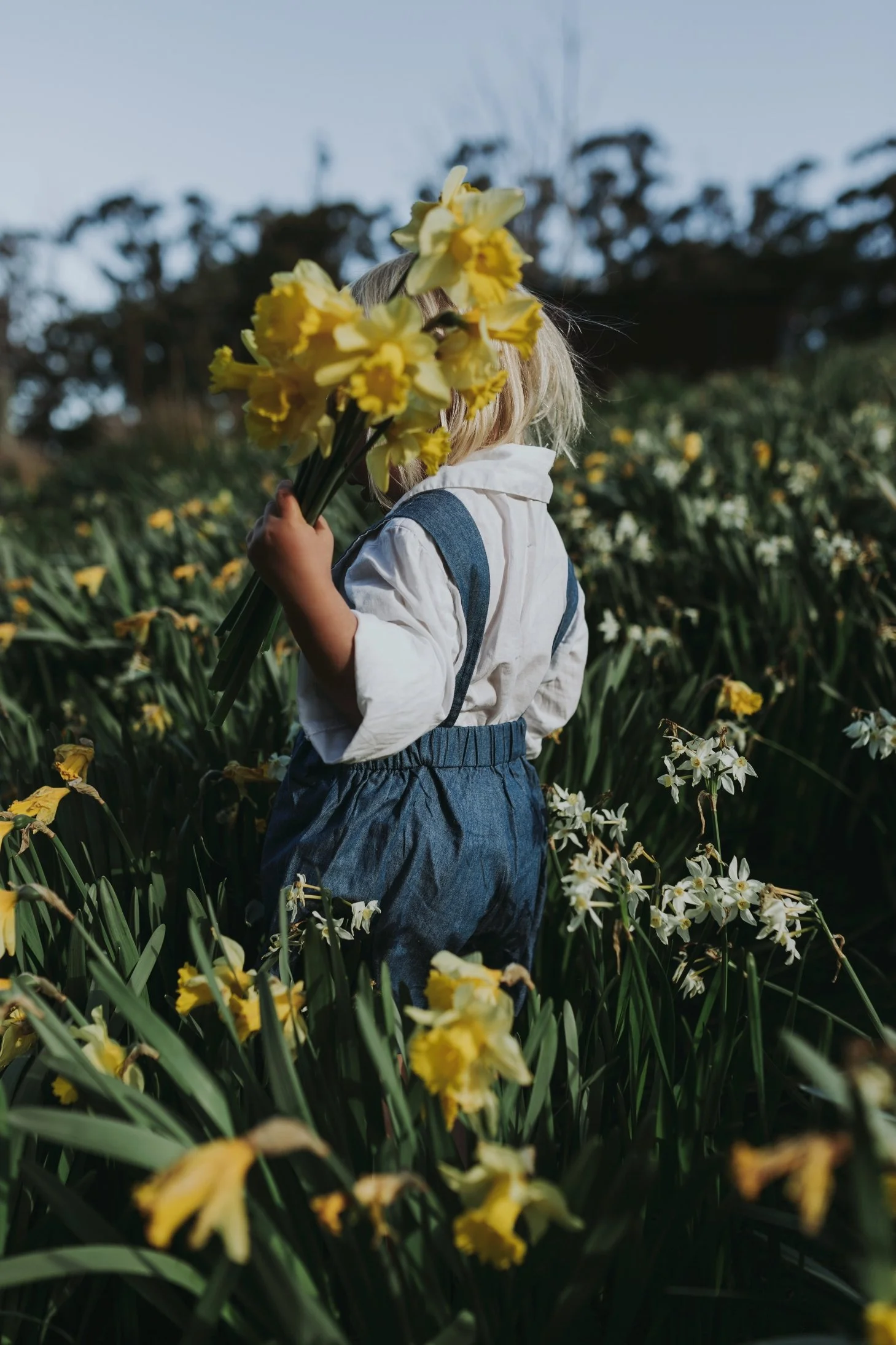 Young girl picks daffodils for on-location photos for kids clothing label.