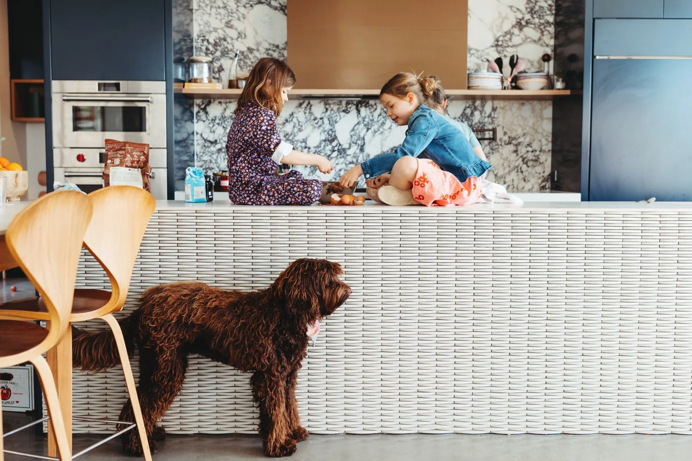 Children and dog play in kitchen for food writer book photography.