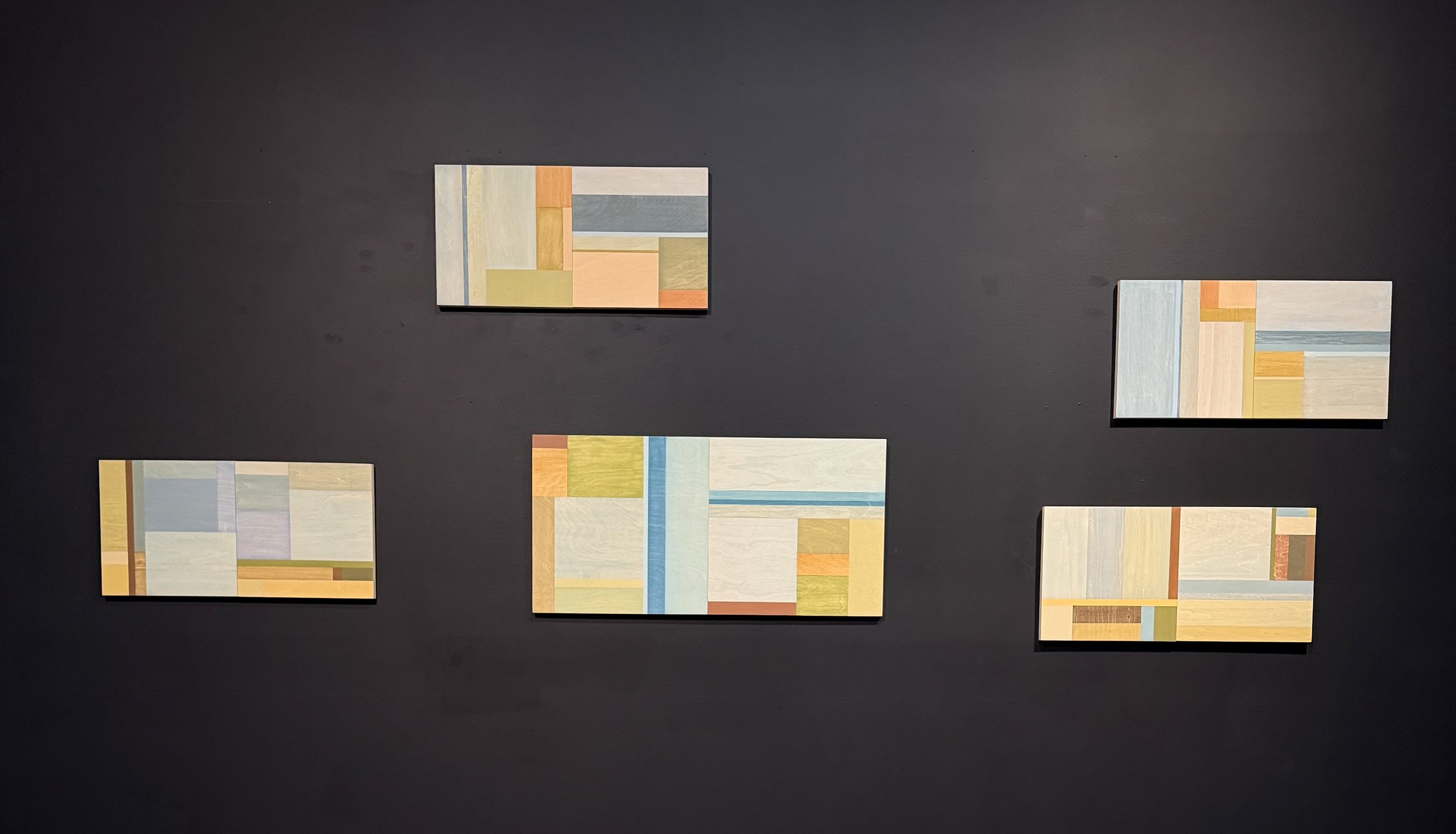Install shot - Manning Regional Gallery, Taree