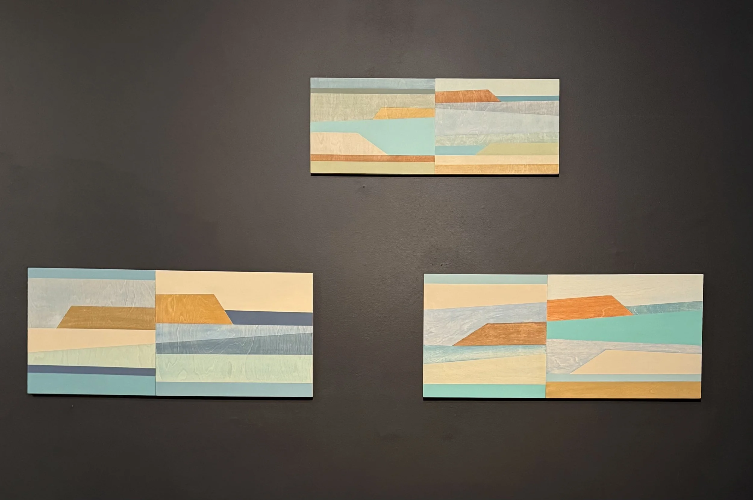 Install shot - Manning Regional Gallery, Taree