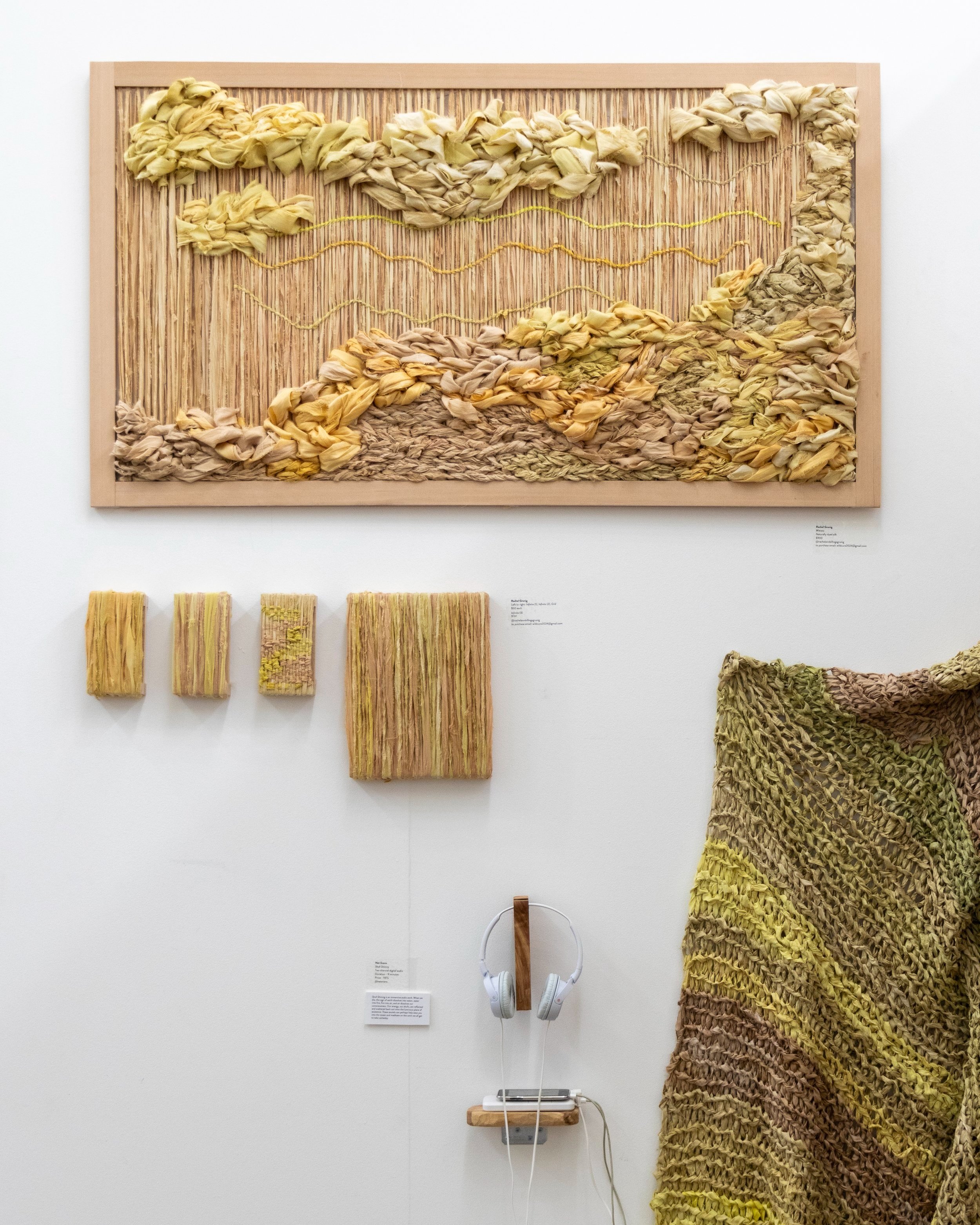 2024_RachelGrunig_WildCure_Witness_EqualOpposite_InifinteSeries2.jpg