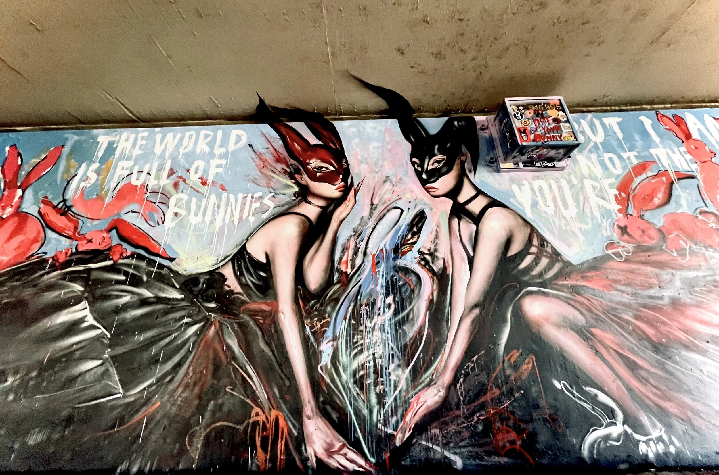 Not Your Bunny: Dual
2021
Valverde, Denver, CO.