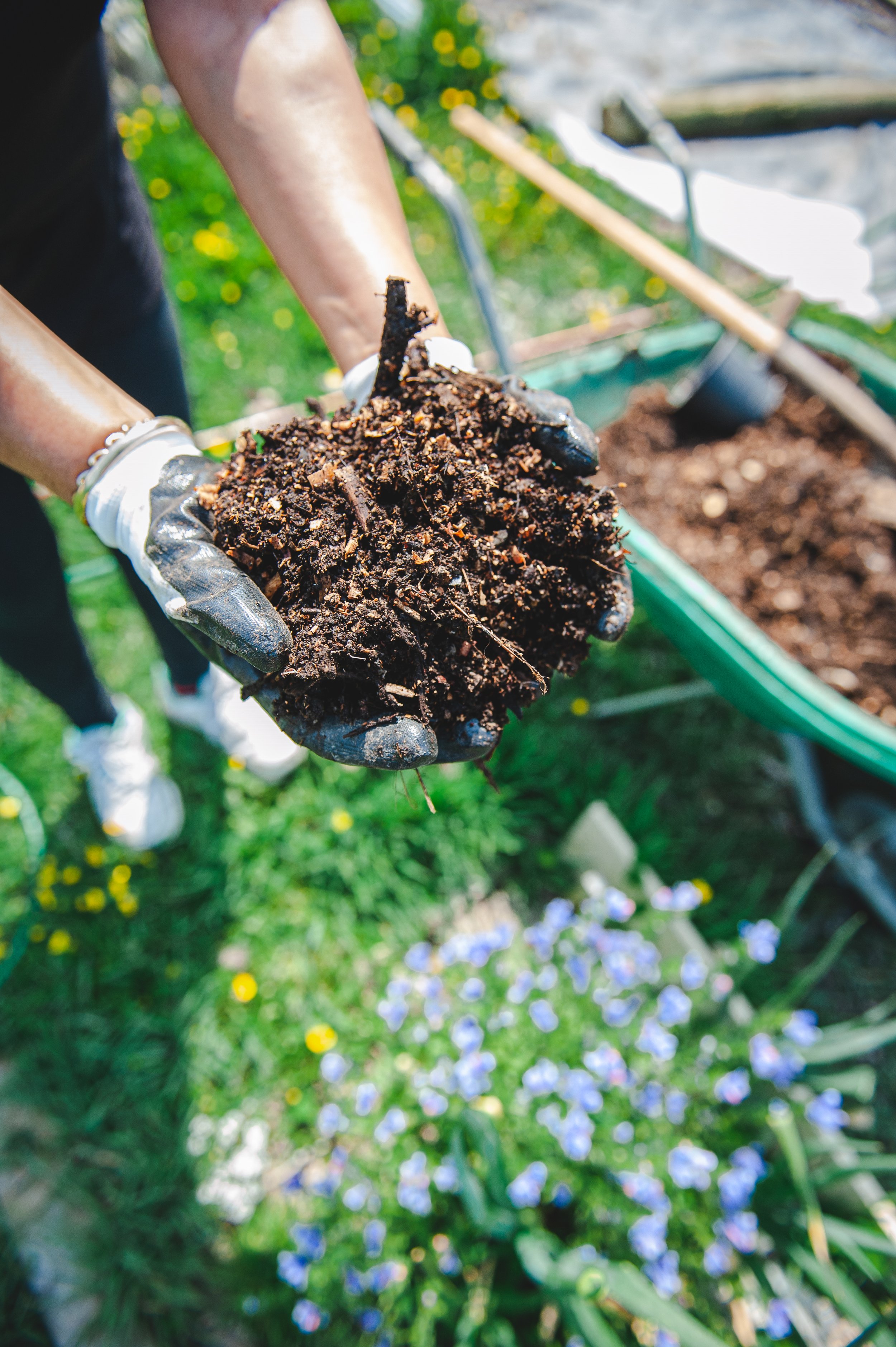 Compost Hub — Common Unity