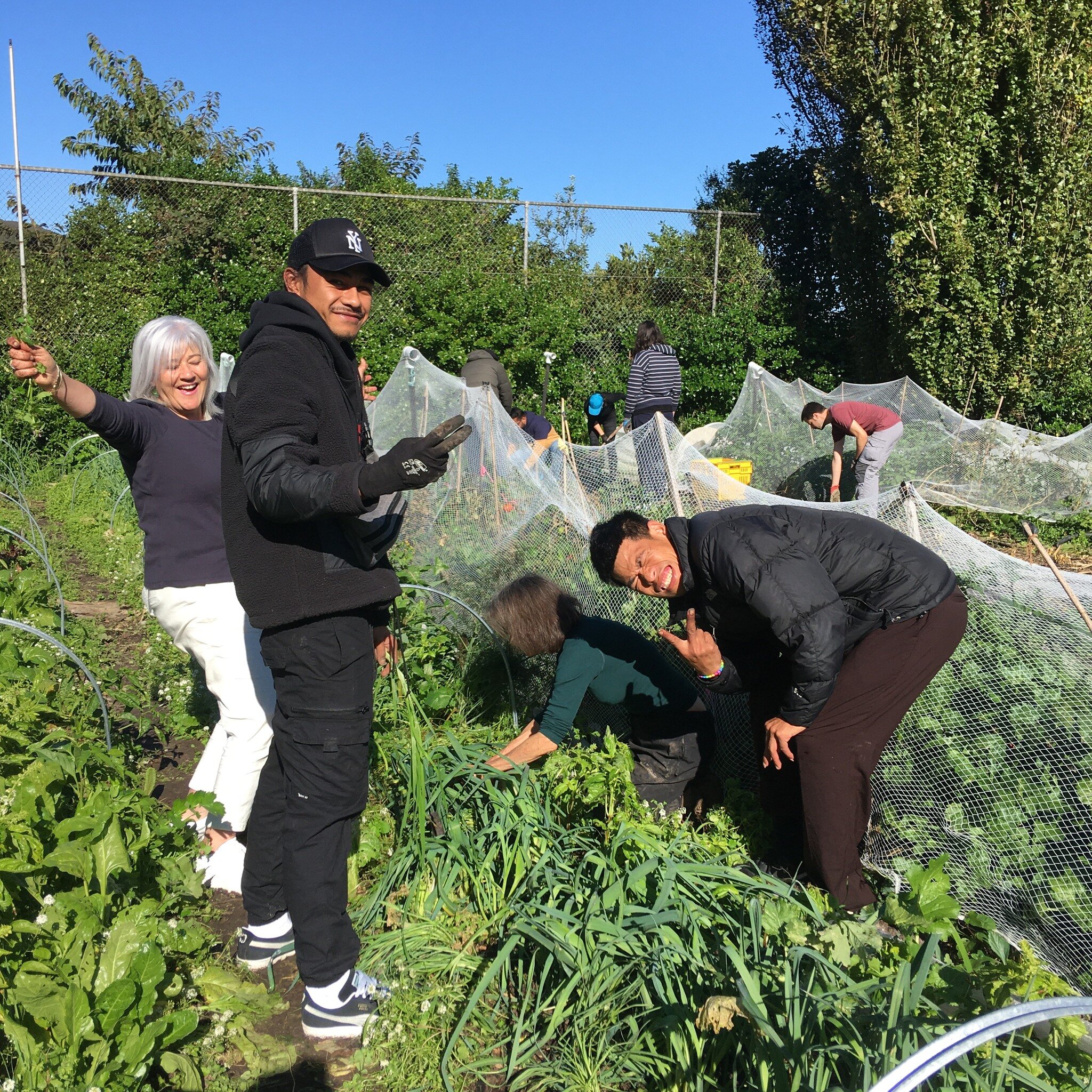 Beautiful day in the māra yesterday! Thank you to all our helpers - special shout out to Youth Inspire for bringing a crew of hard working and curious young folk to our session! We built a lasagne compost using our corn stalks and weeds from around t