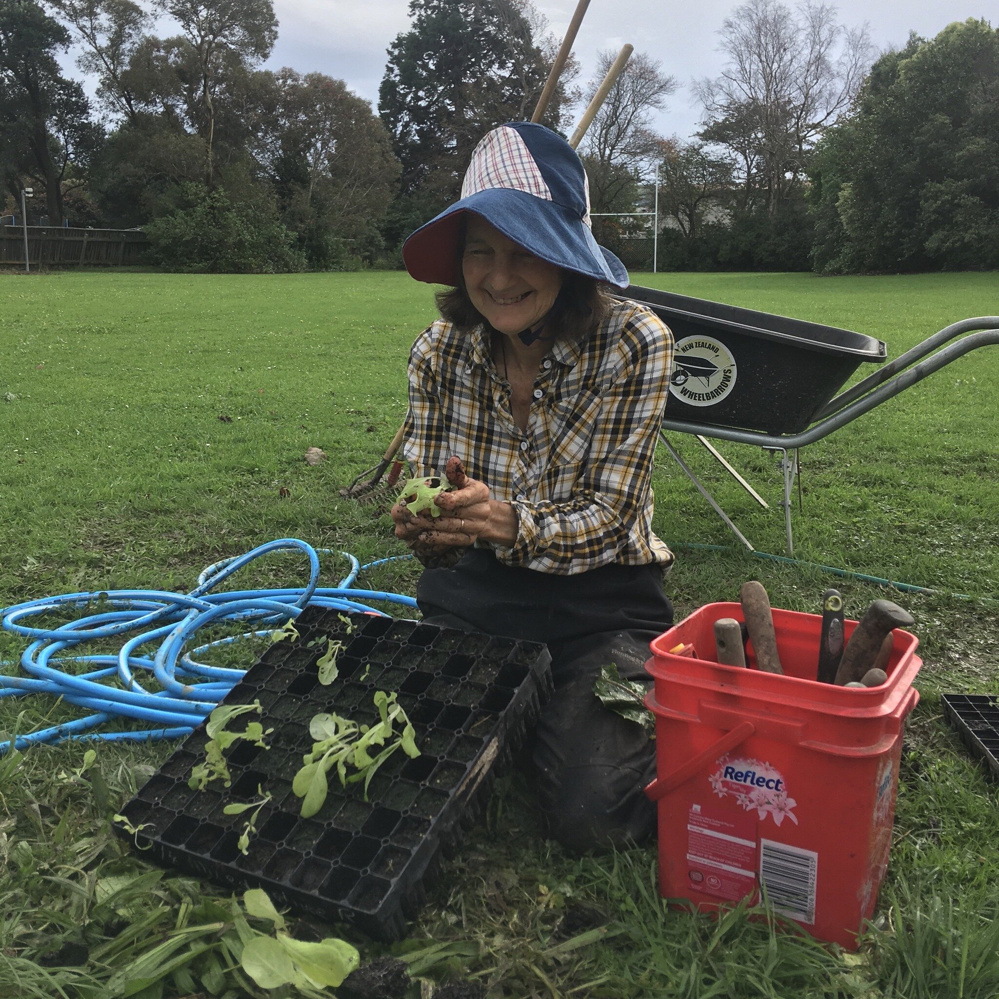 Despite the exceptionally warm (and weird) weather this week, time's a ticking before soil temperatures drop and seedlings struggle to get established in their winter beds. So we keeping trucking on, planting a bed or two a week this time of year. At