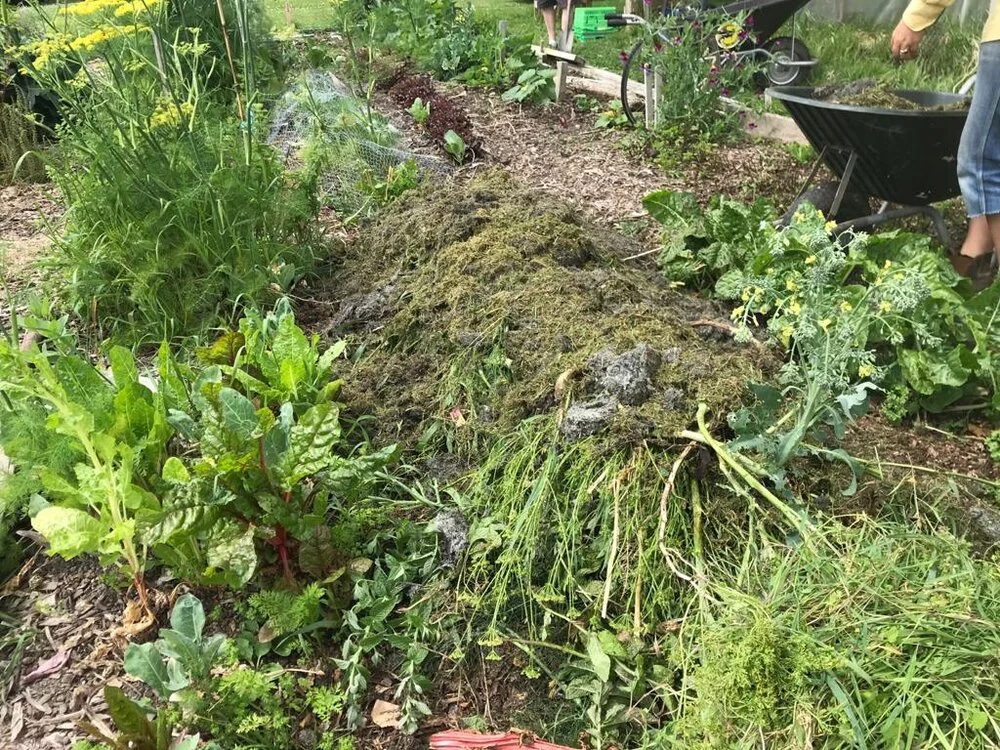 Chop, drop and roll — Common Unity