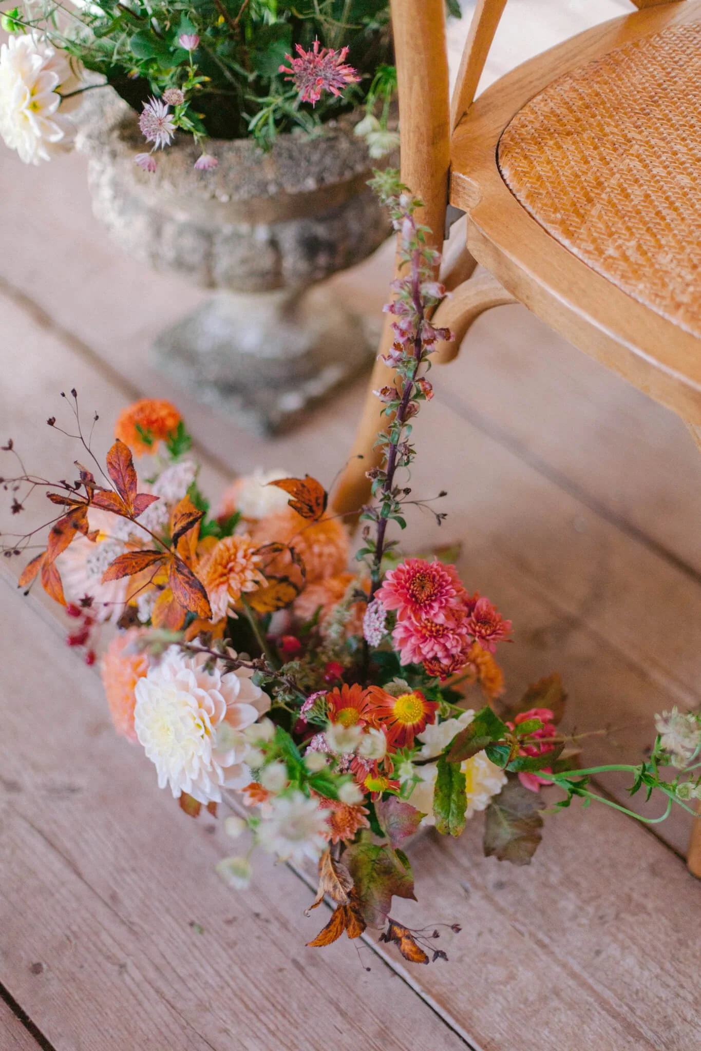 Autumn pink leaves tiny.JPG