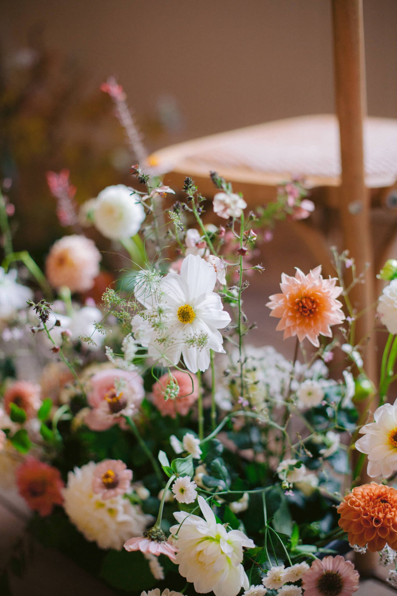 White cosmos detail tiny .JPG