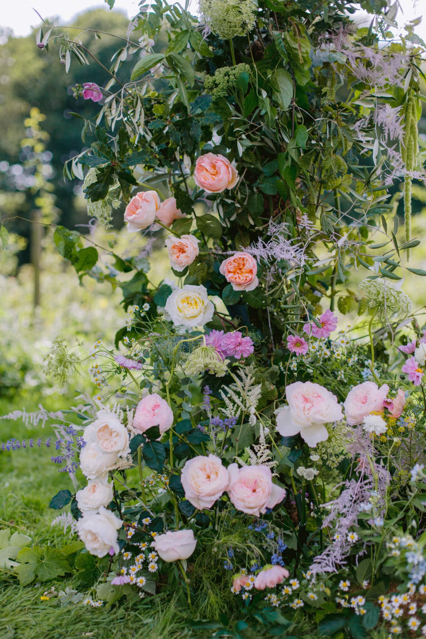 David Austin Wedding Roses for an outdoor wedding ceremony.jpg