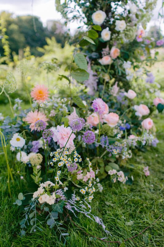 Luxurious flower meadows.jpg