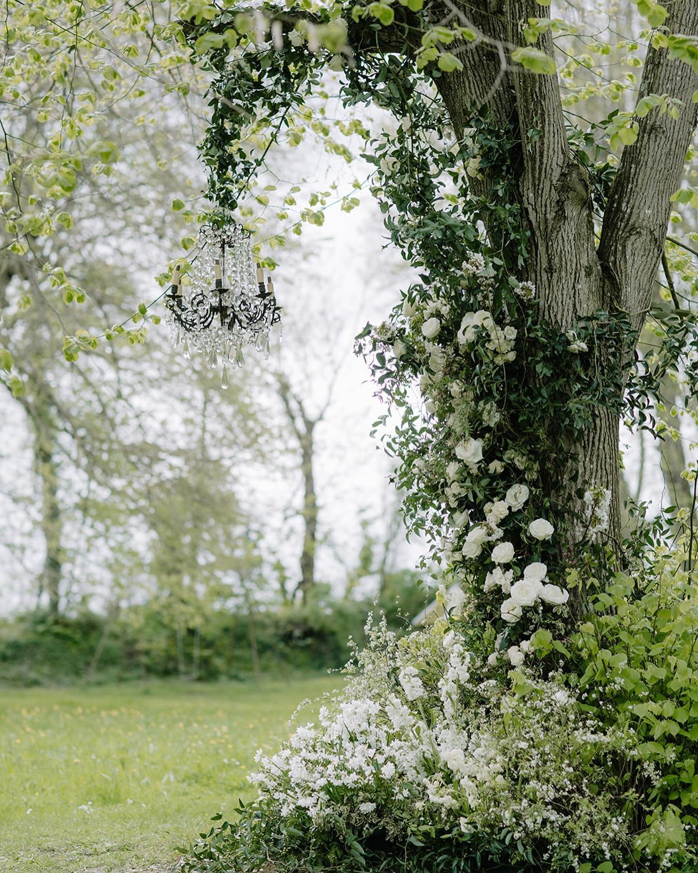 Outdoor ceremony flowers 🌿

My favourite installation from our wonderful #lesfleurs24 Retreat. I love the classic, elegant white and green colour palette and how perfectly the flowers suited the place. So natural, as though it had simply grown there