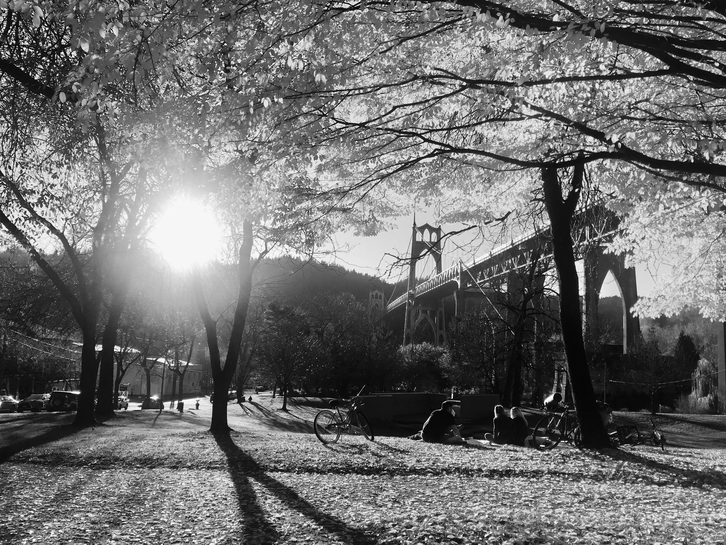 St. Johns Photo Print