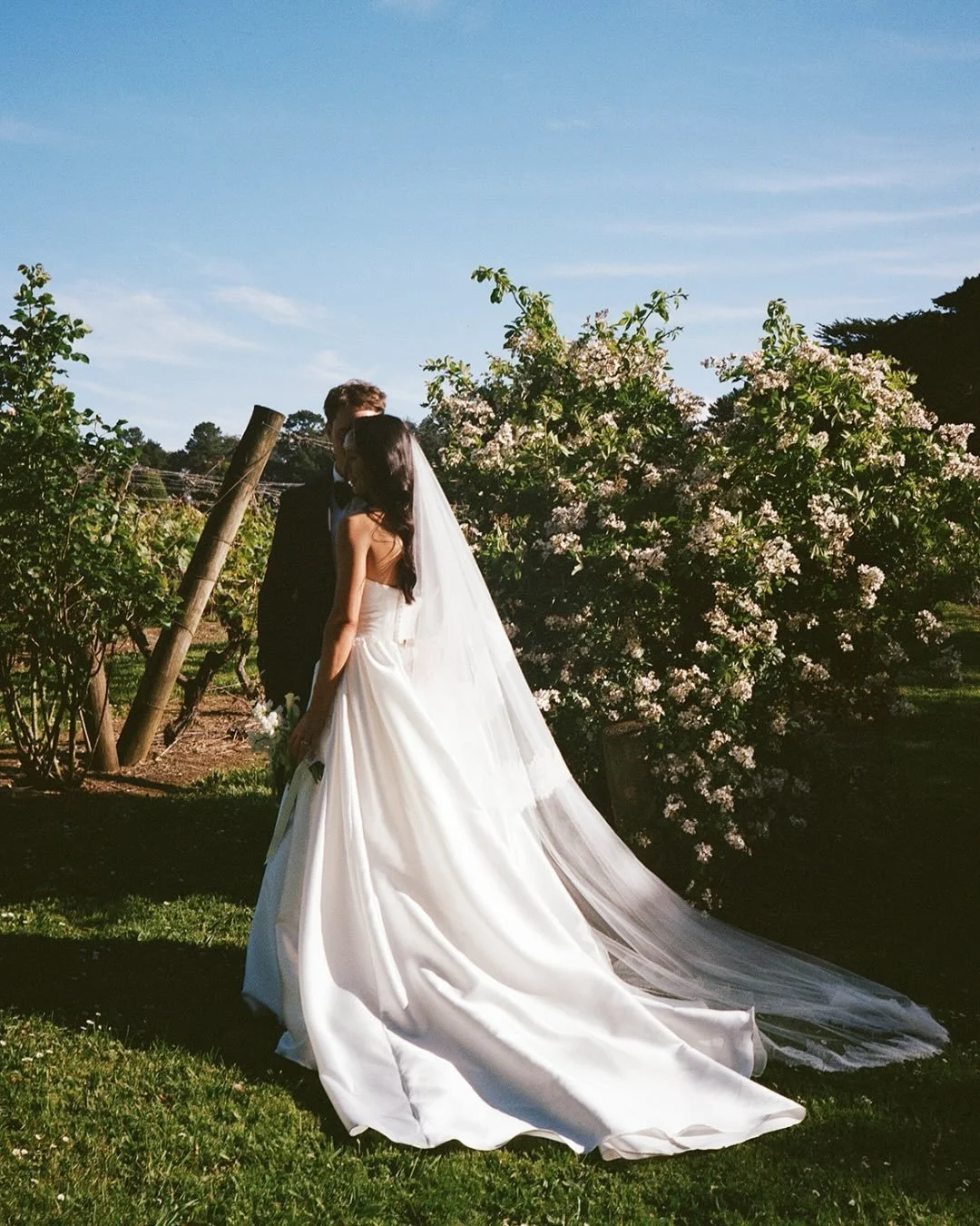 Bronte and Josh on film 🤍