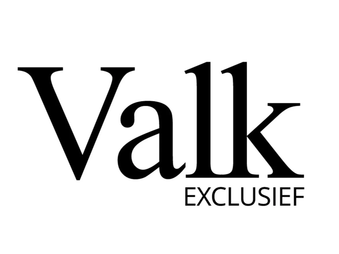 VALK LOGO.jpg