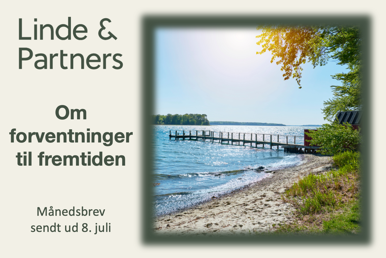 Om forventninger til fremtiden