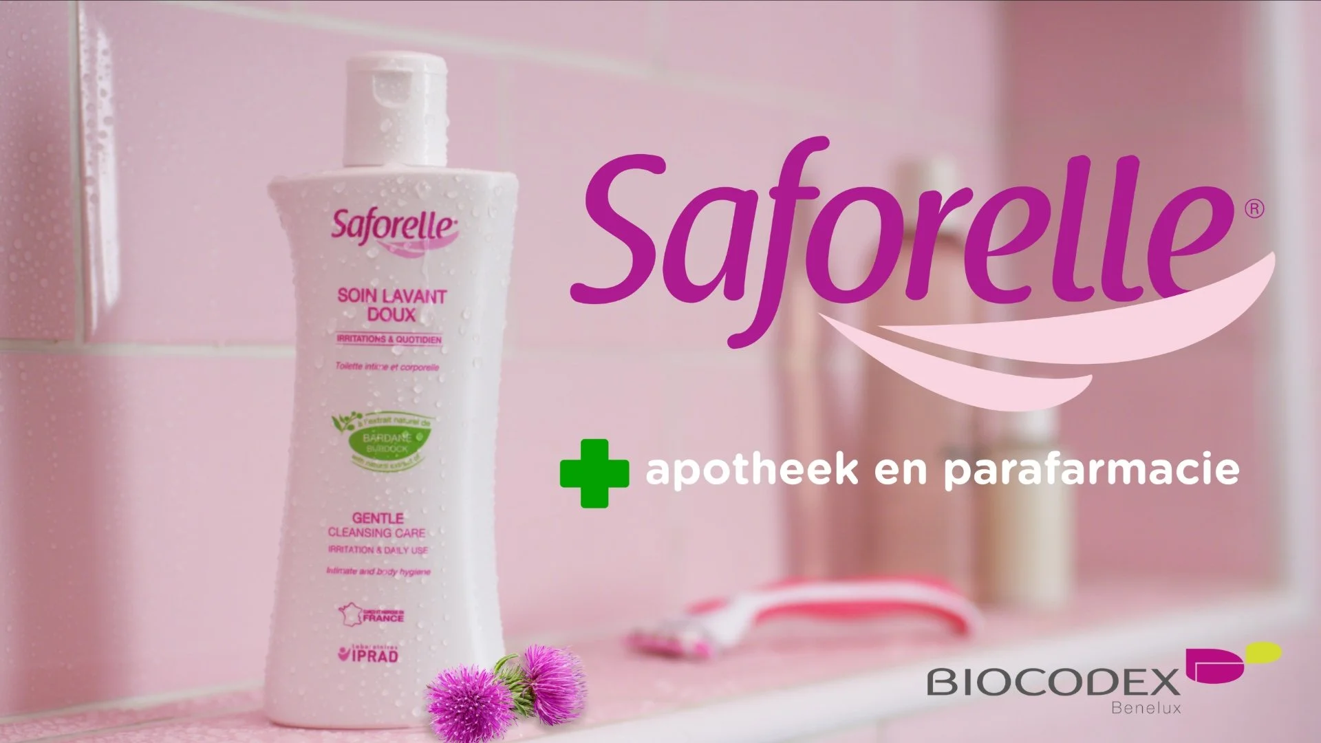 Saforelle 2023 1.jpg