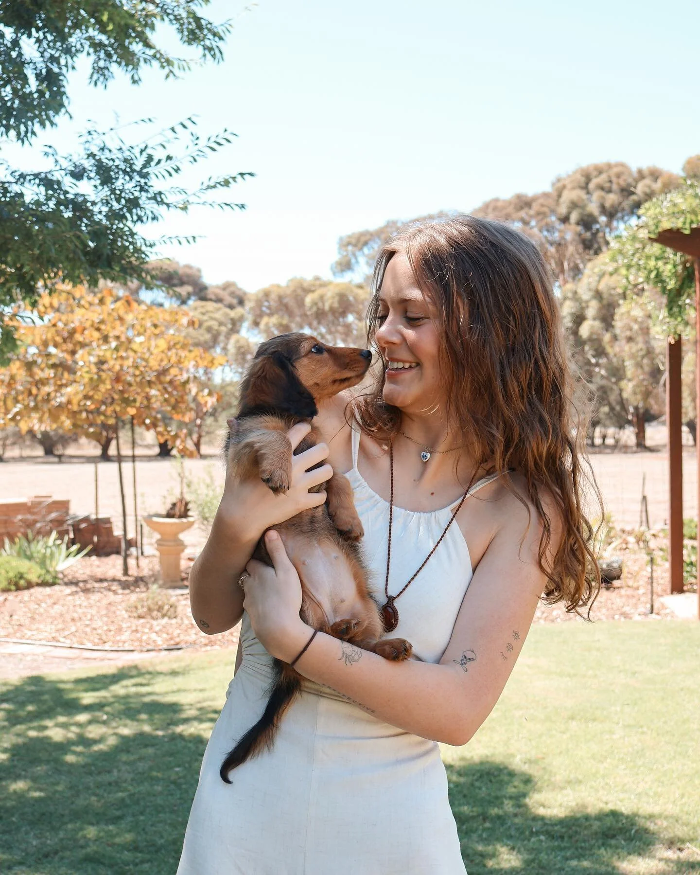 get the whole clan involved your next family session &mdash; including those with paws 🤎

taking bookings in bendigo &amp; the wimmera region 

&mdash; by alex