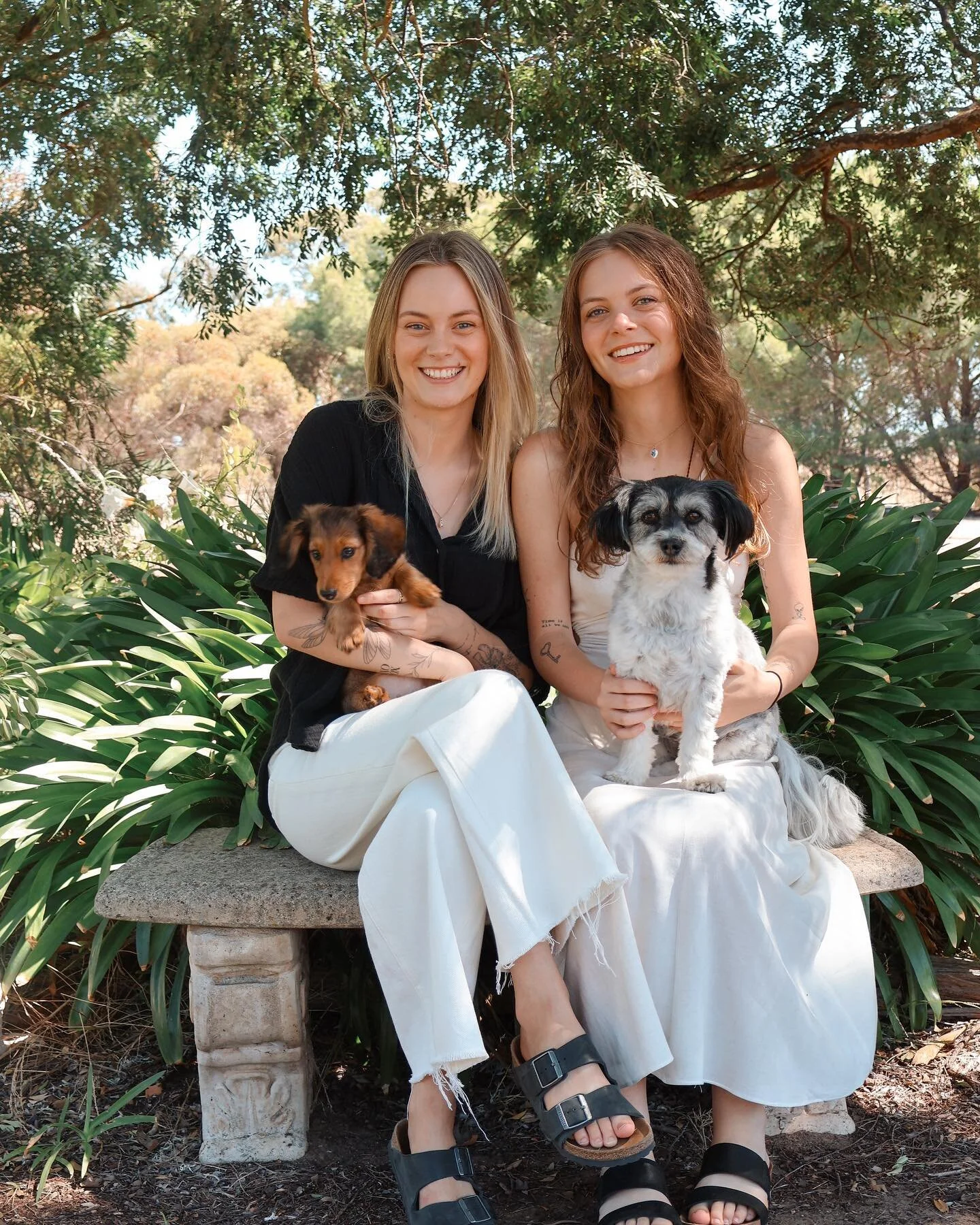 aren&rsquo;t they adorable! 🐶

any ideas you have for your family session, i&rsquo;m all ears. let&rsquo;s get everyone involved, grandparents &amp; pets. anyone else u can think of? 

think of a place that means a lot to you, let&rsquo;s go there. 