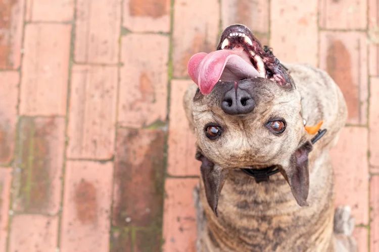 What are 'demand signals' and how do you detect them? — Hiatus ↗ Epic ...