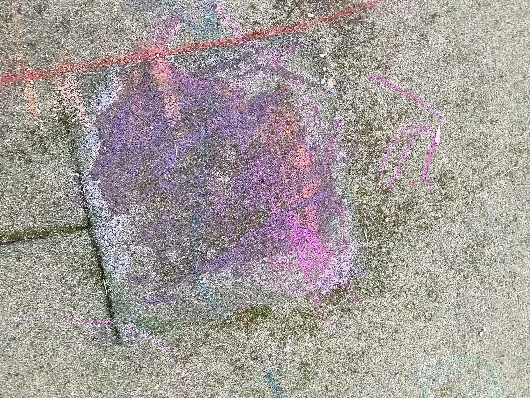 n2.jpg