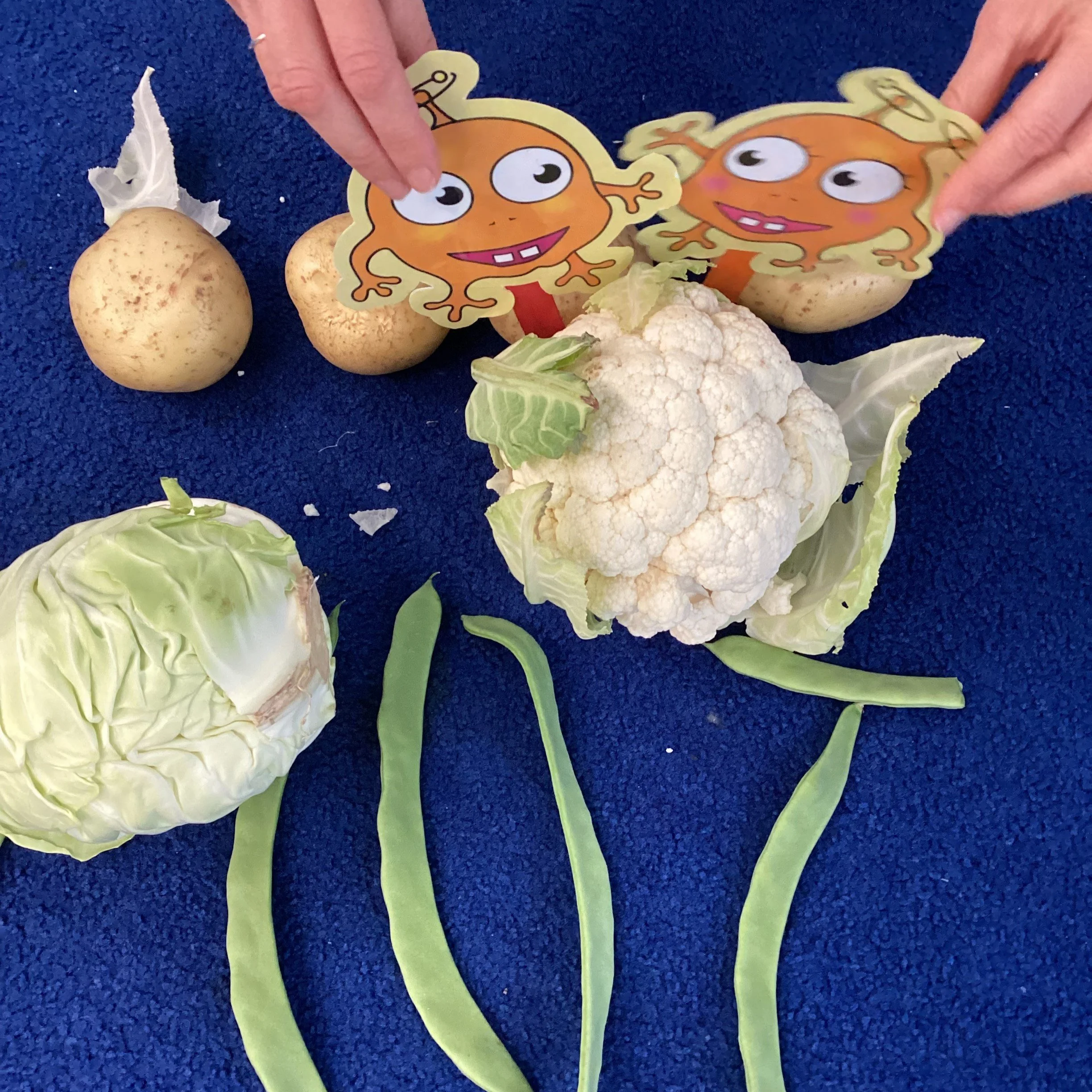 Pip and Pap veggie patch wk 3 008.JPG