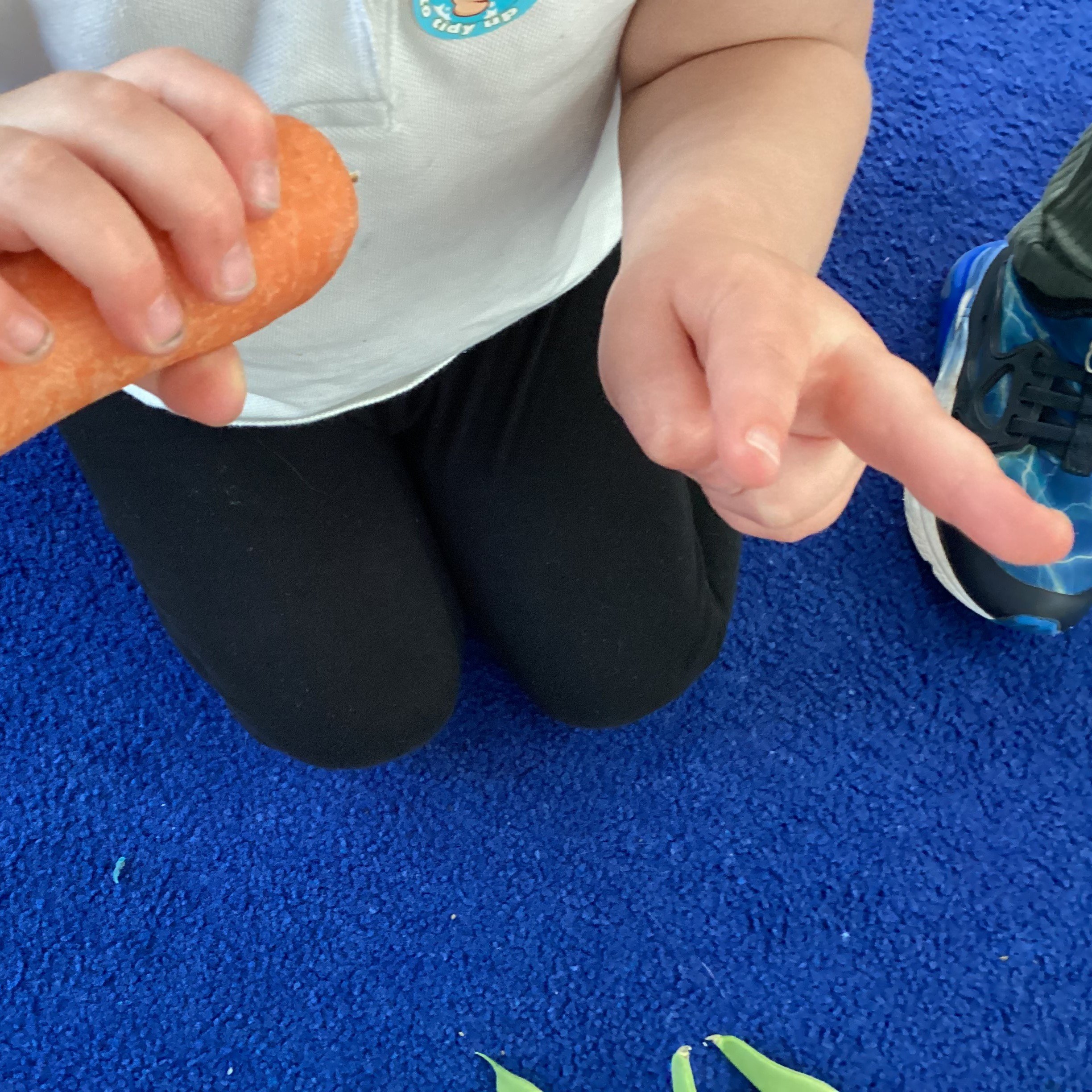Pip and Pap veggie patch wk 3 013.JPG