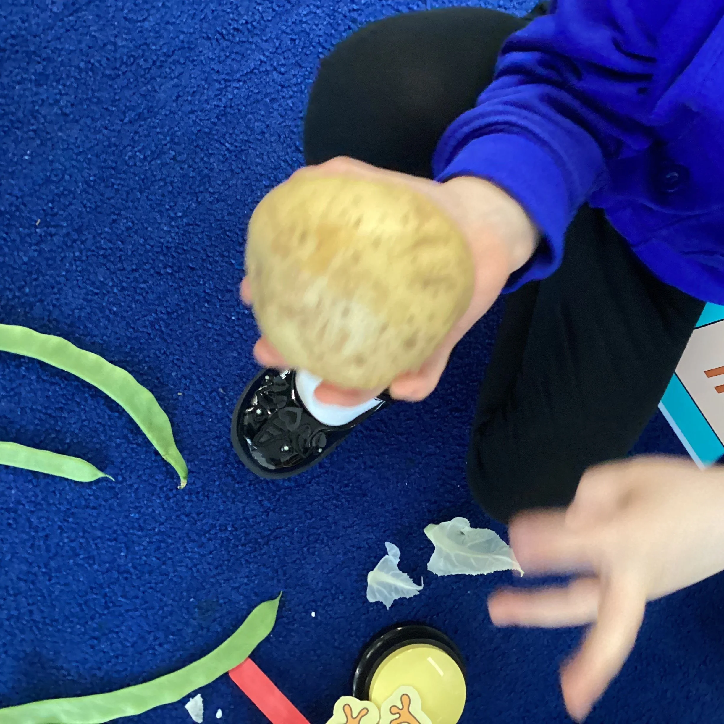 Pip and Pap veggie patch wk 3 014.JPG