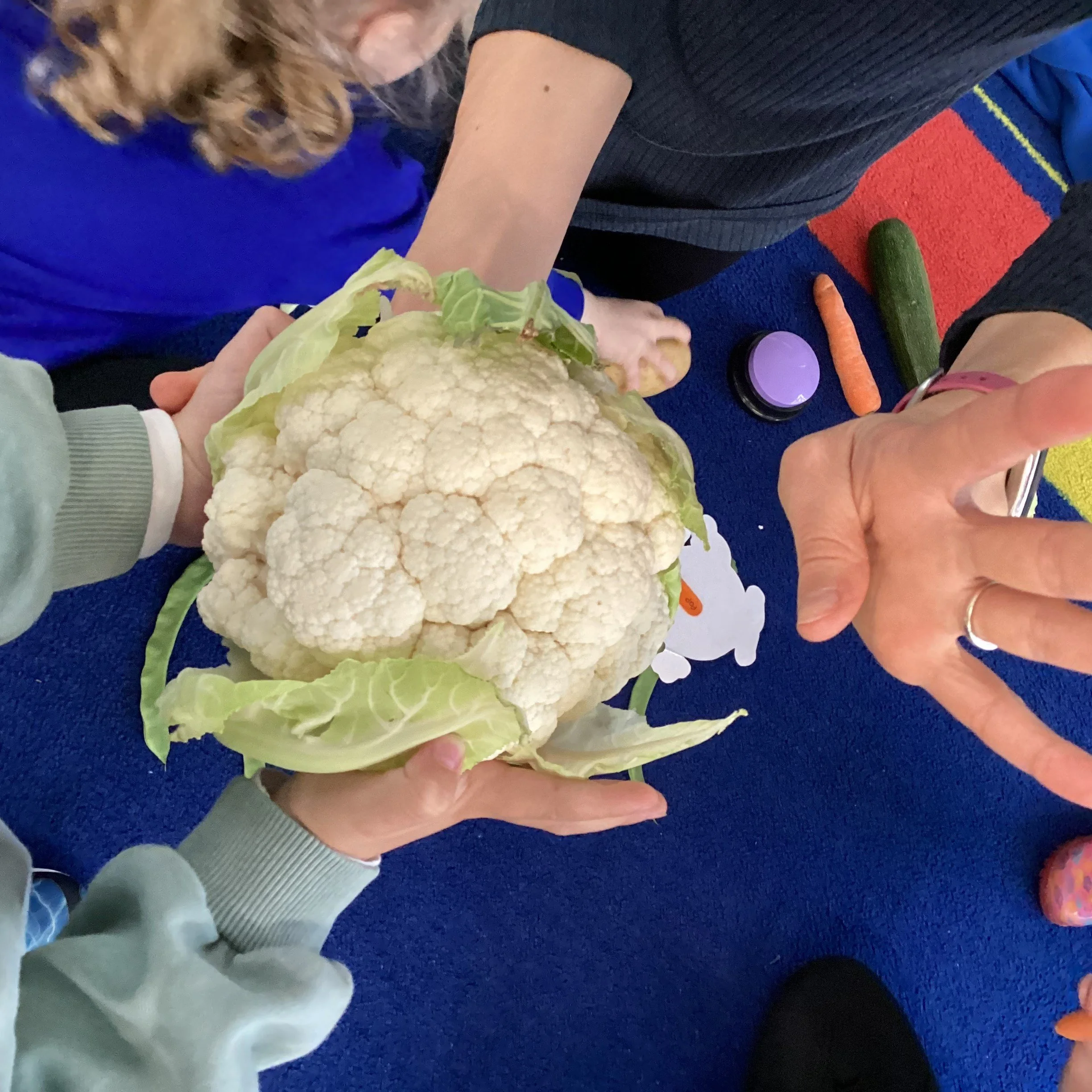 Pip and Pap veggie patch wk 3 015.JPG