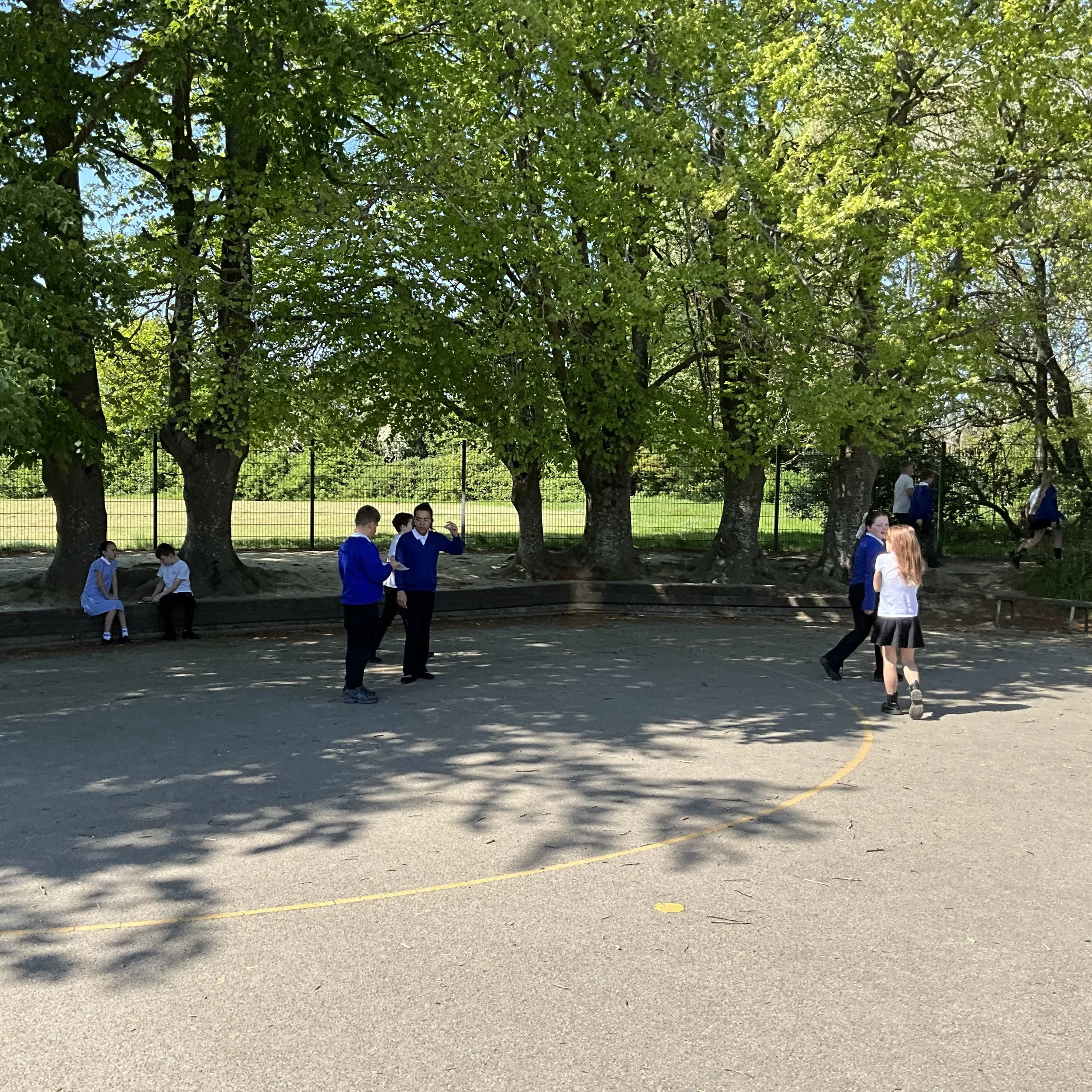 IMG_0690.jpeg