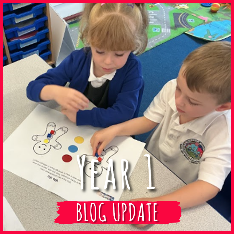 Year 1 blog: