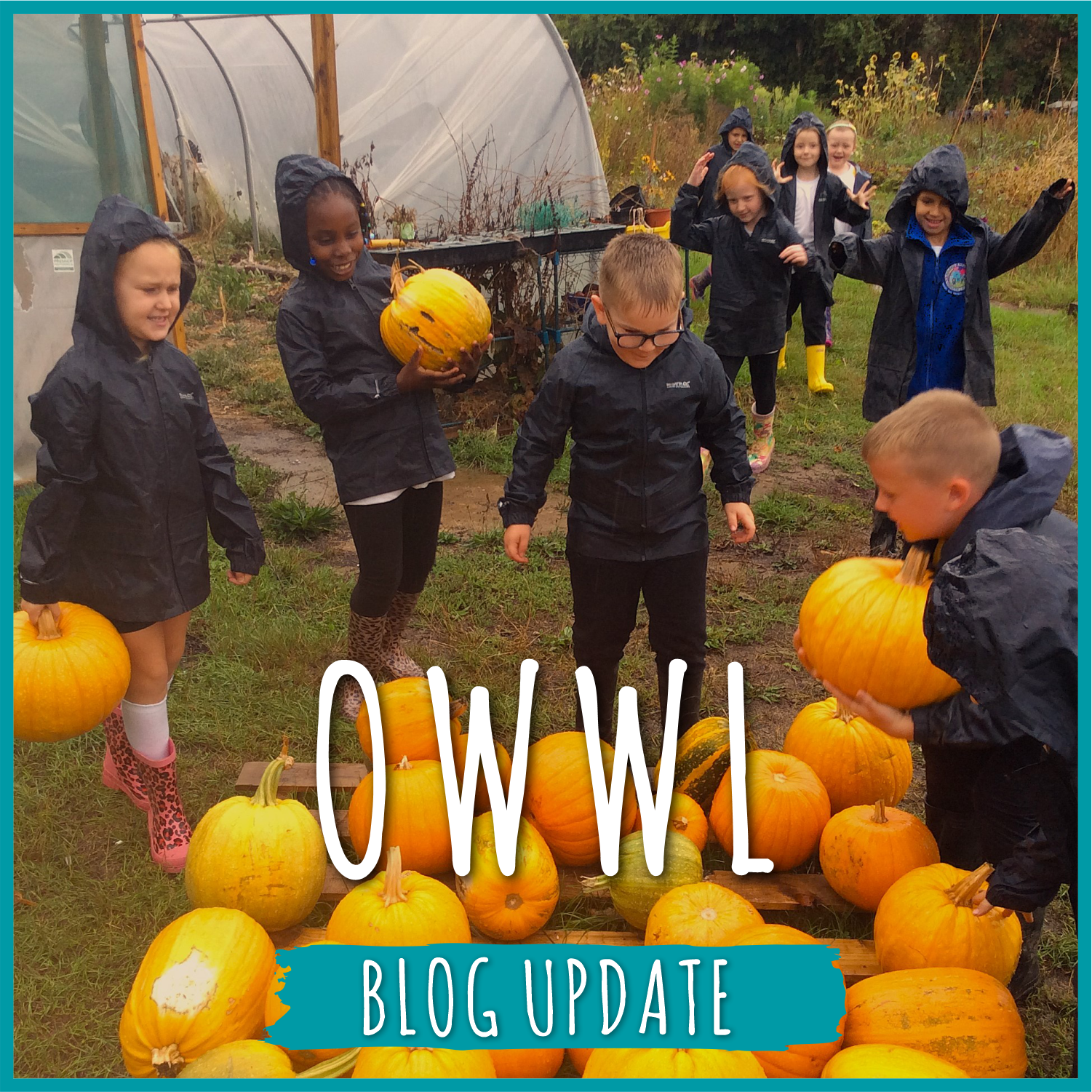 OWWL blog: