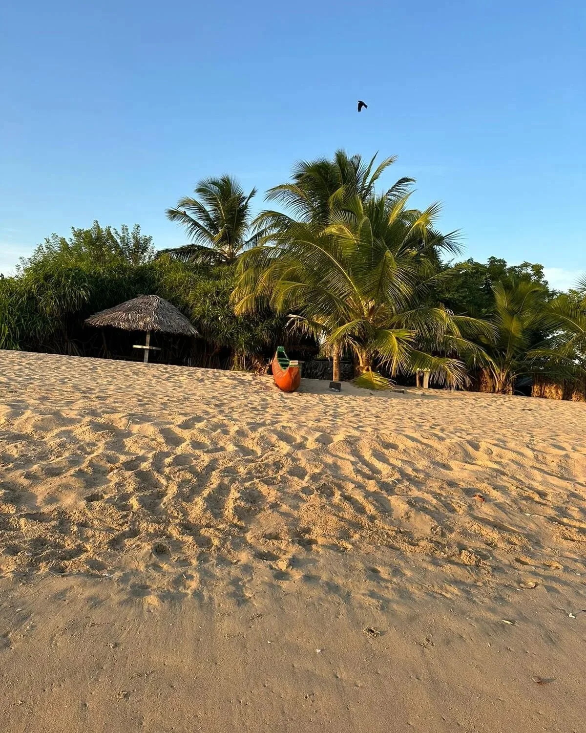 Houd je vakantie gevoel langer vast! ☀️🌴

Wil jij de opgedane rust en ontspanning van de vakantie vasthouden??

Na &eacute;&eacute;n enkele ademreis kan jij al ervaren hoe dat is voor de rust en ontspanning in hoofd en lijf. 
De hele maand september