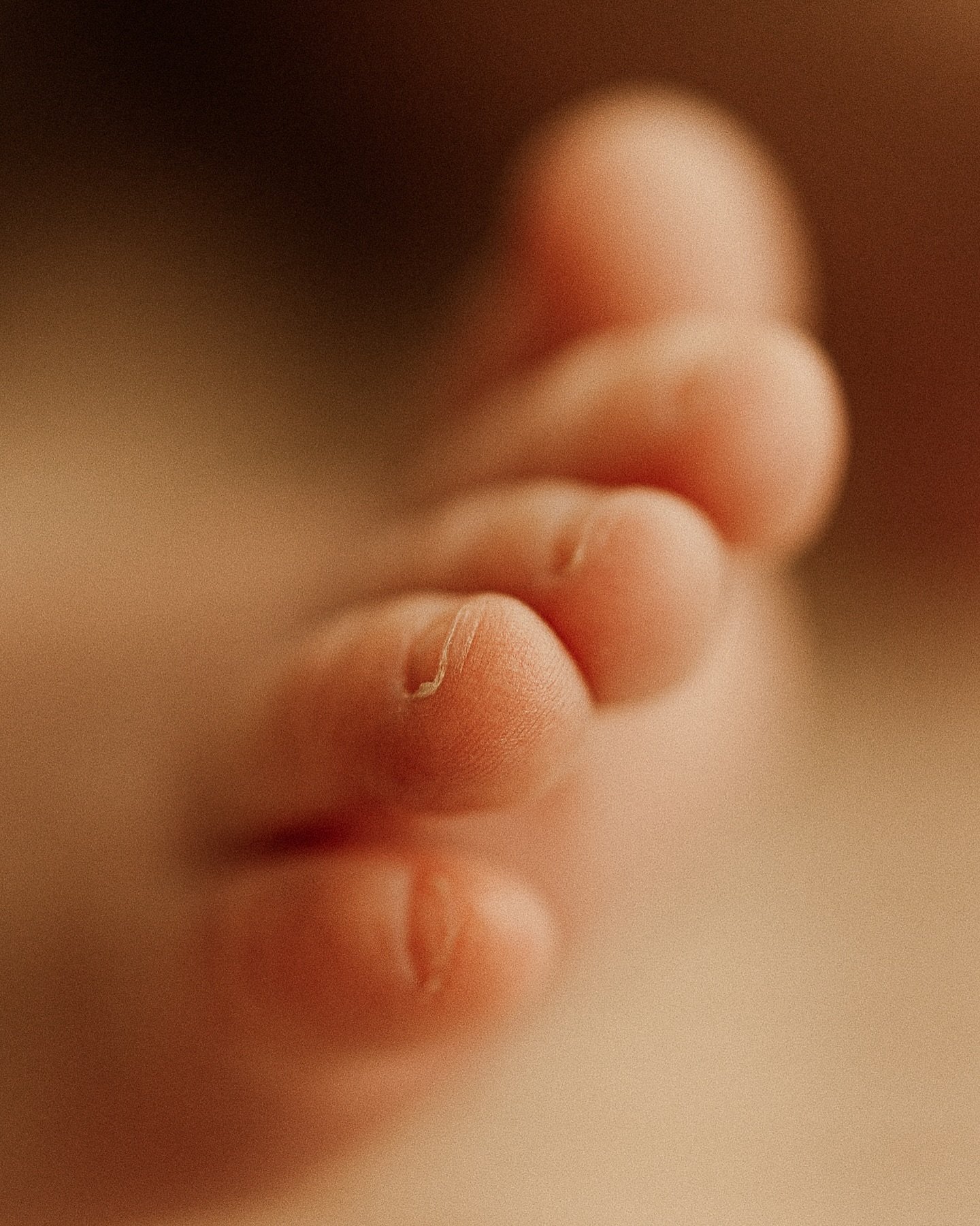 I&rsquo;m a BIG fan of the cutest, tiny little details. 

All the feeeeeels 🥰🥰🥰 

📷 @lemphotodesign 

SYDNEY NEWBORN PHOTOGRAPHER | SYDNEY NEWBORN PHOTOGRAPHY | SYDNEY IN-HOME PHOTOGRAPHER | INNER WEST SYDNEY | NEWBORN LIFESTYLE | MACRO | LEM PHO