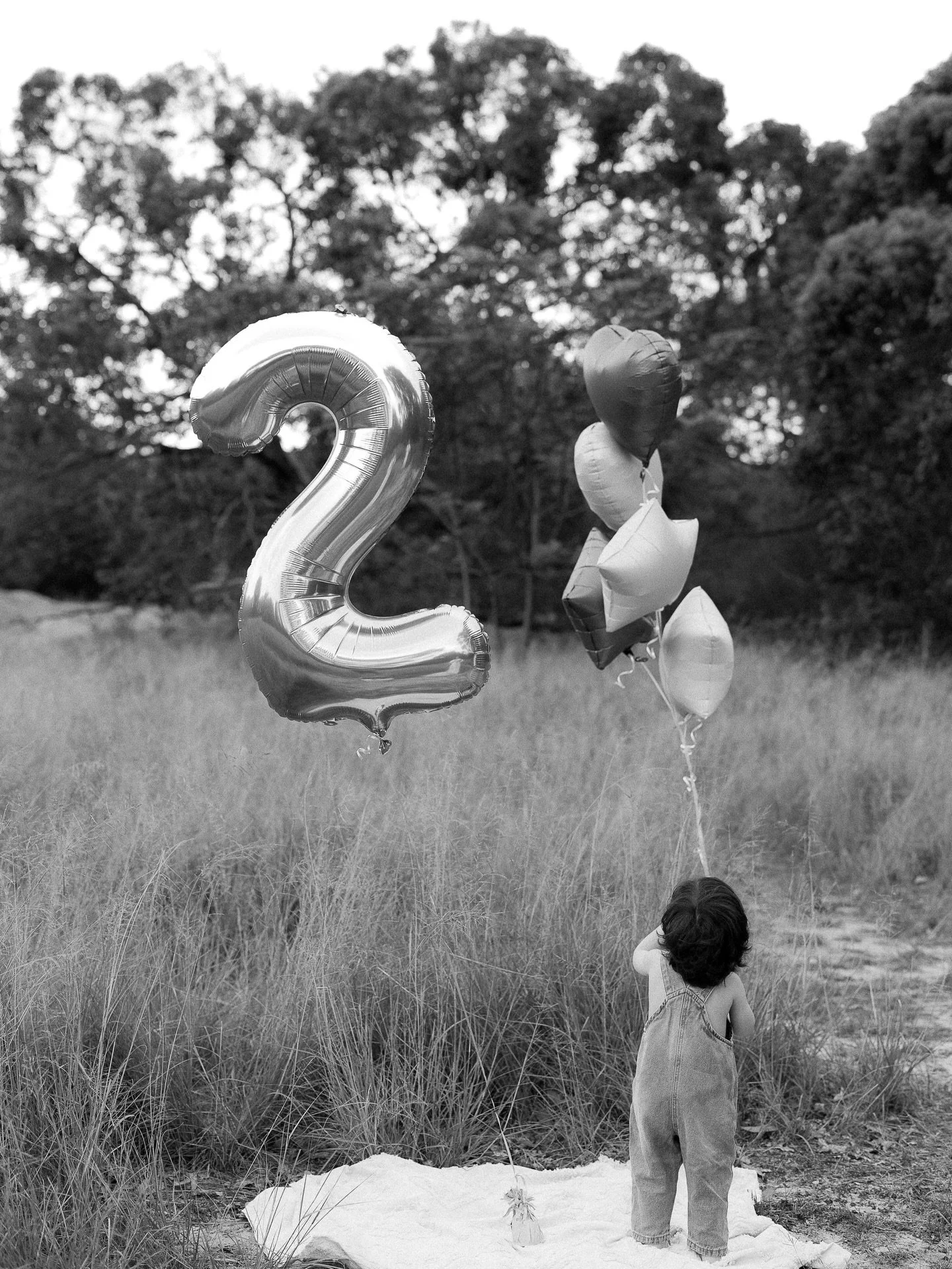 Celebrating their gorgeous boy 🎈🎈🎂 

📷  @lemphotodesign

Lauren is a Sydney photographer and Mum of two. Maternity, newborn, and families &bull; capturing dreamy, timeless memories&hellip; from bump to baby and beyond ✨