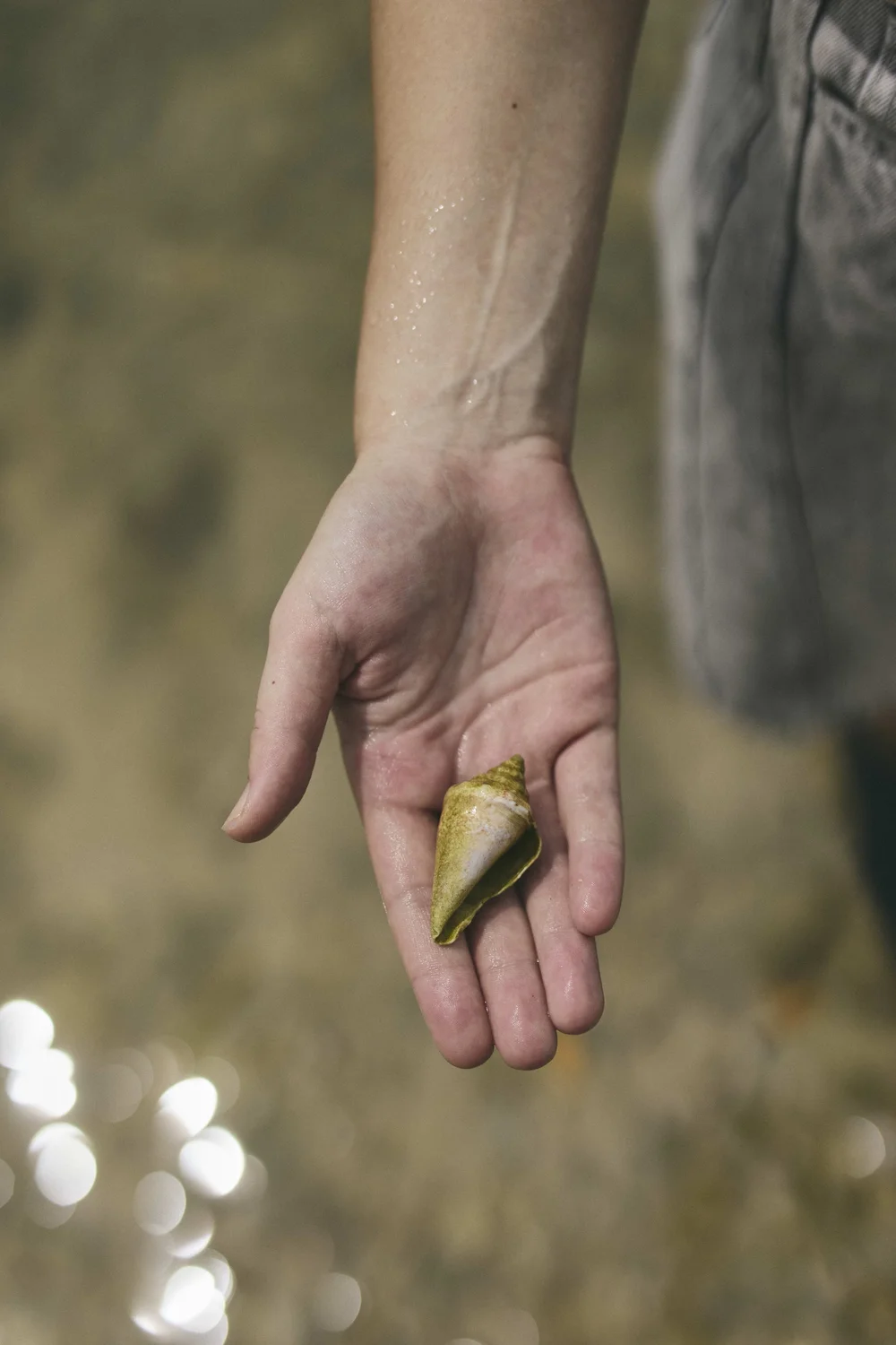 Cartagnena Beach Trip Luxury.jpeg