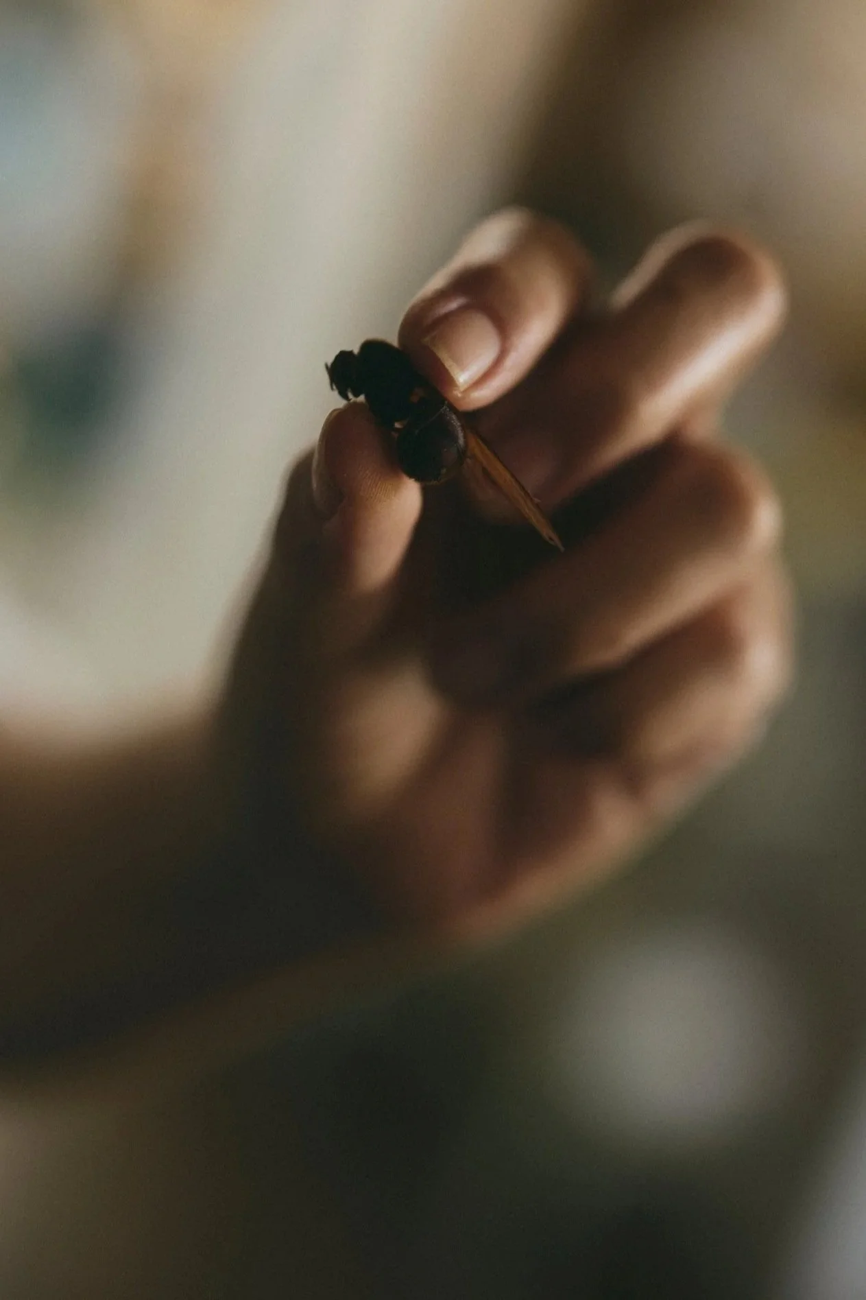 Hand holding a hormiga culona, Santander’s traditional fat-bottomed ant, during a WhereNext Curated Experience in Colombia.