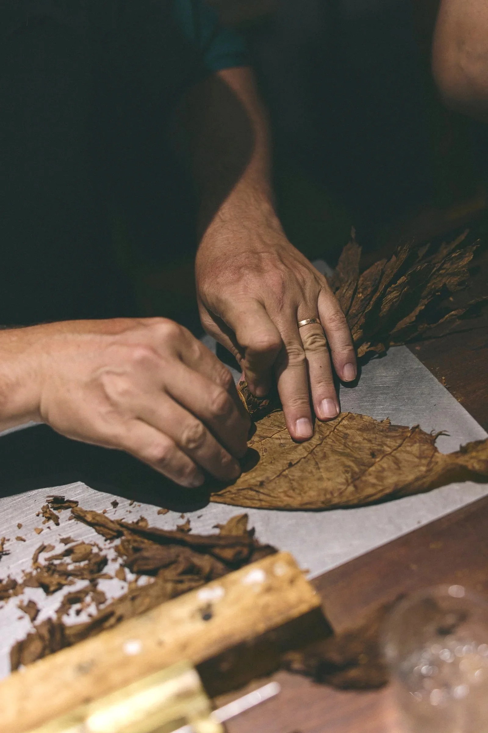Guests learn to roll a cigar by hand alongside the Bribón production team in Barichara.