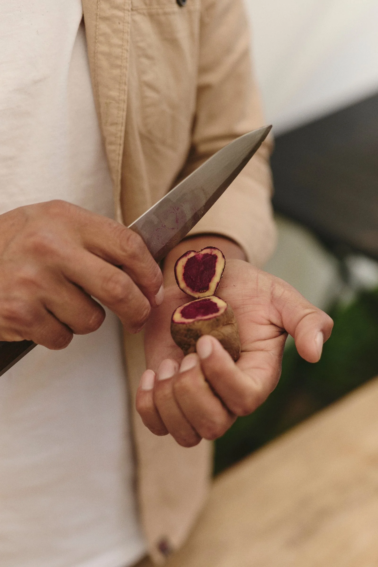He picks them up one by one, turning each tuber in his hand before cutting several open. Luxury gastronomy experience travel DMC Peru.