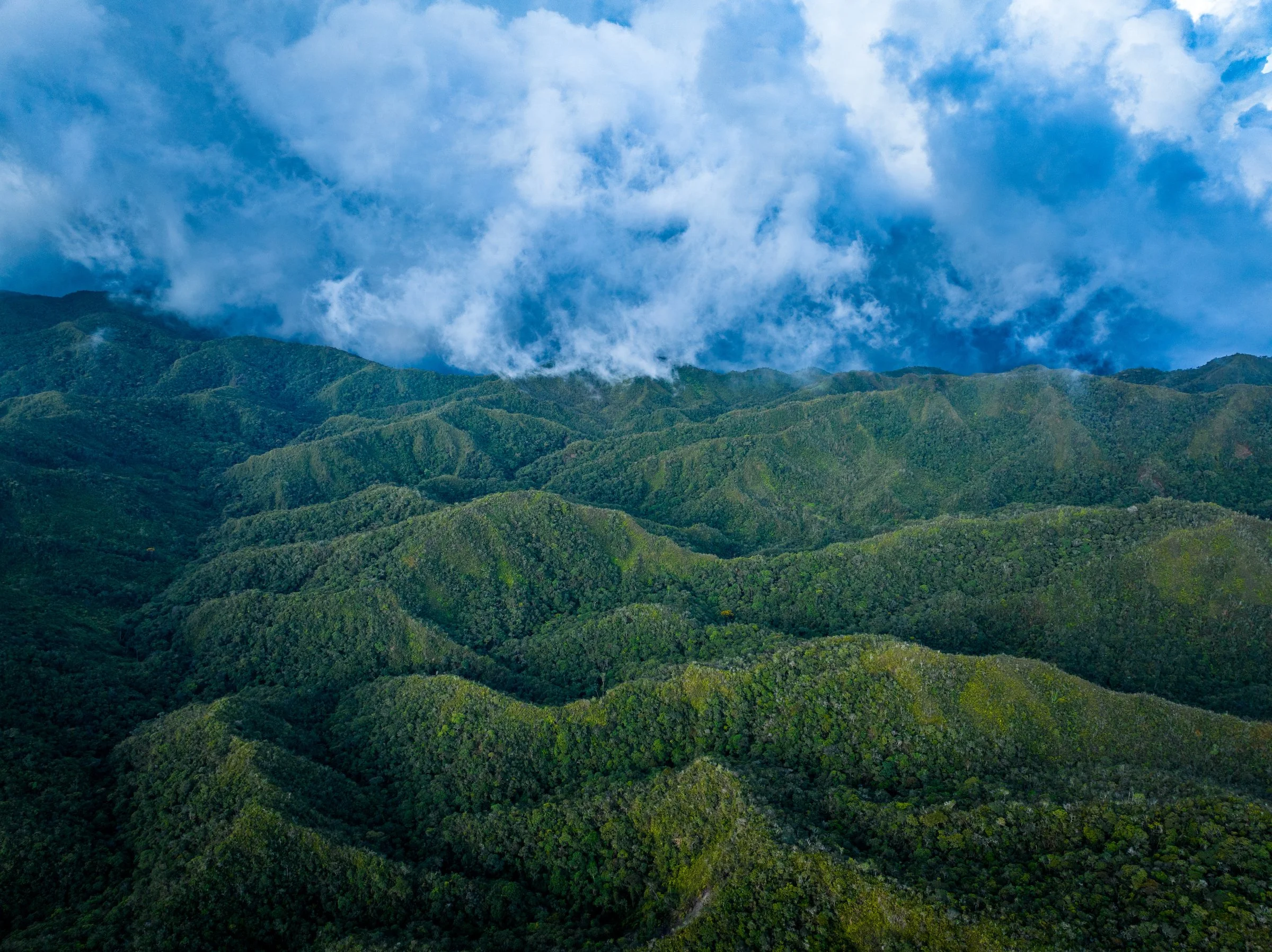 Remote forested mountains in Antioquia, Colombia, with no visible road infrastructure.