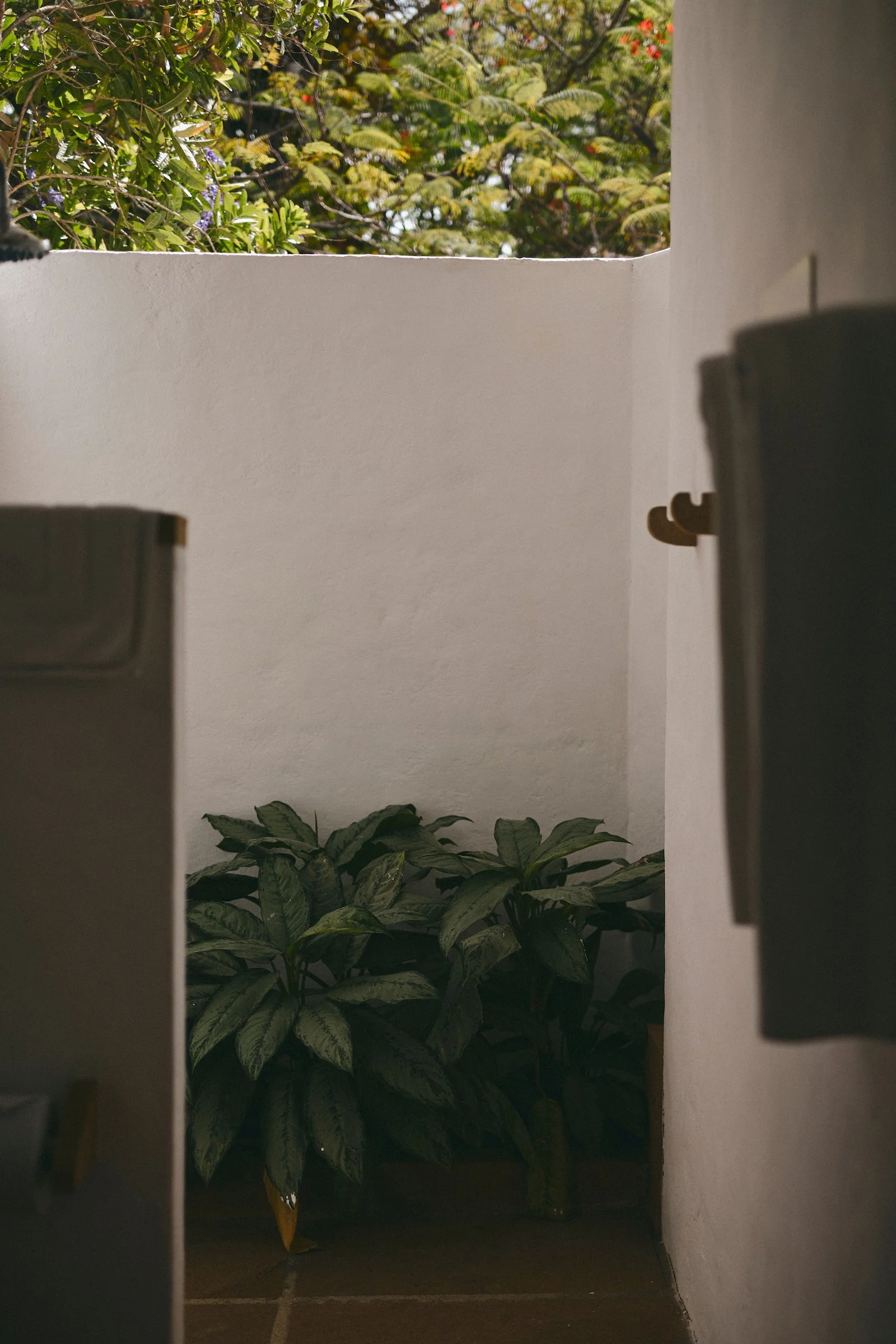 Interior shower detail at Casa Barichara showing white walls, leafy plants, and natural light inside one of the guest rooms.