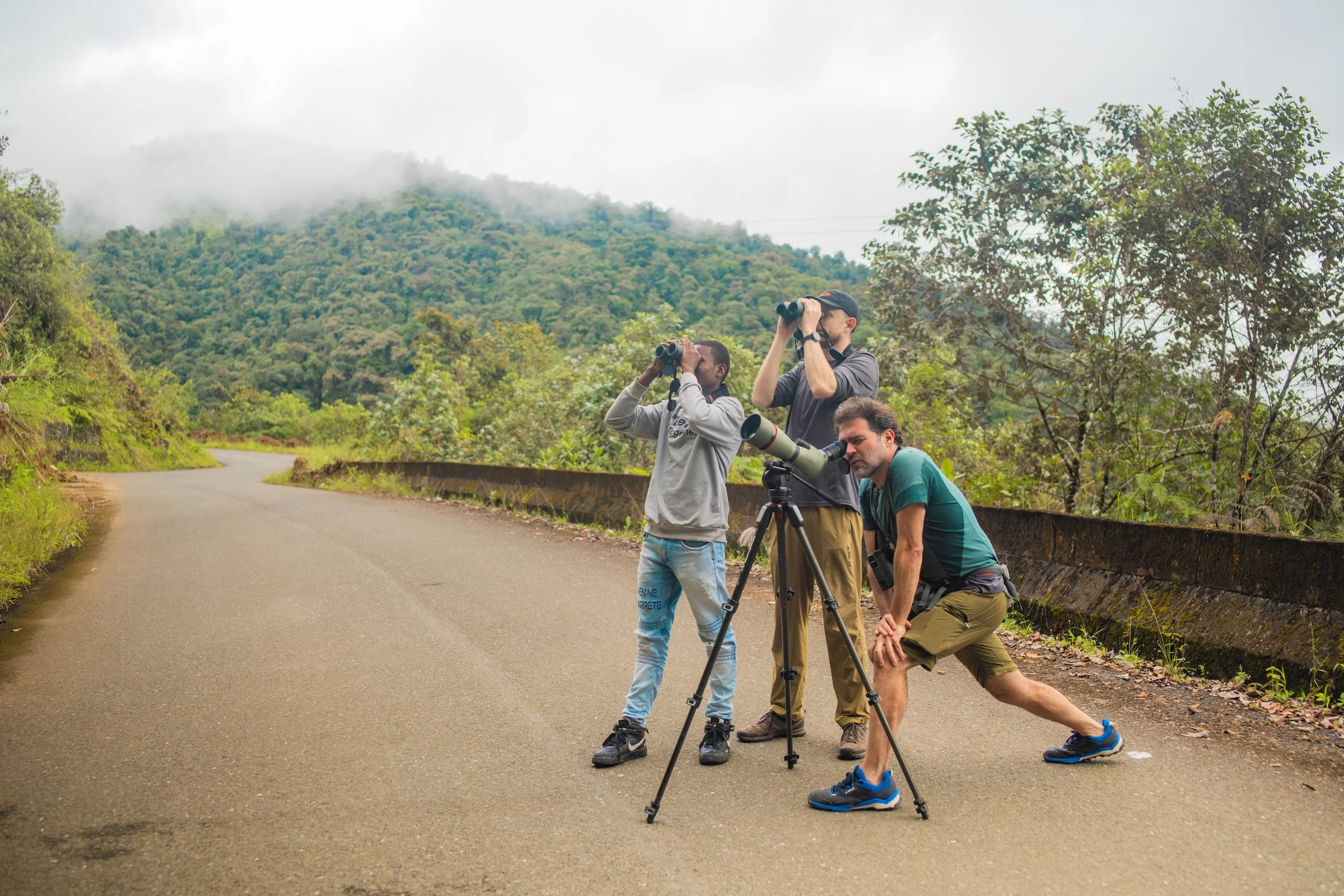 Three WhereNext Travel team members use binoculars and a spotting scope along a mountain road in Valle del Cauca, Colombia.