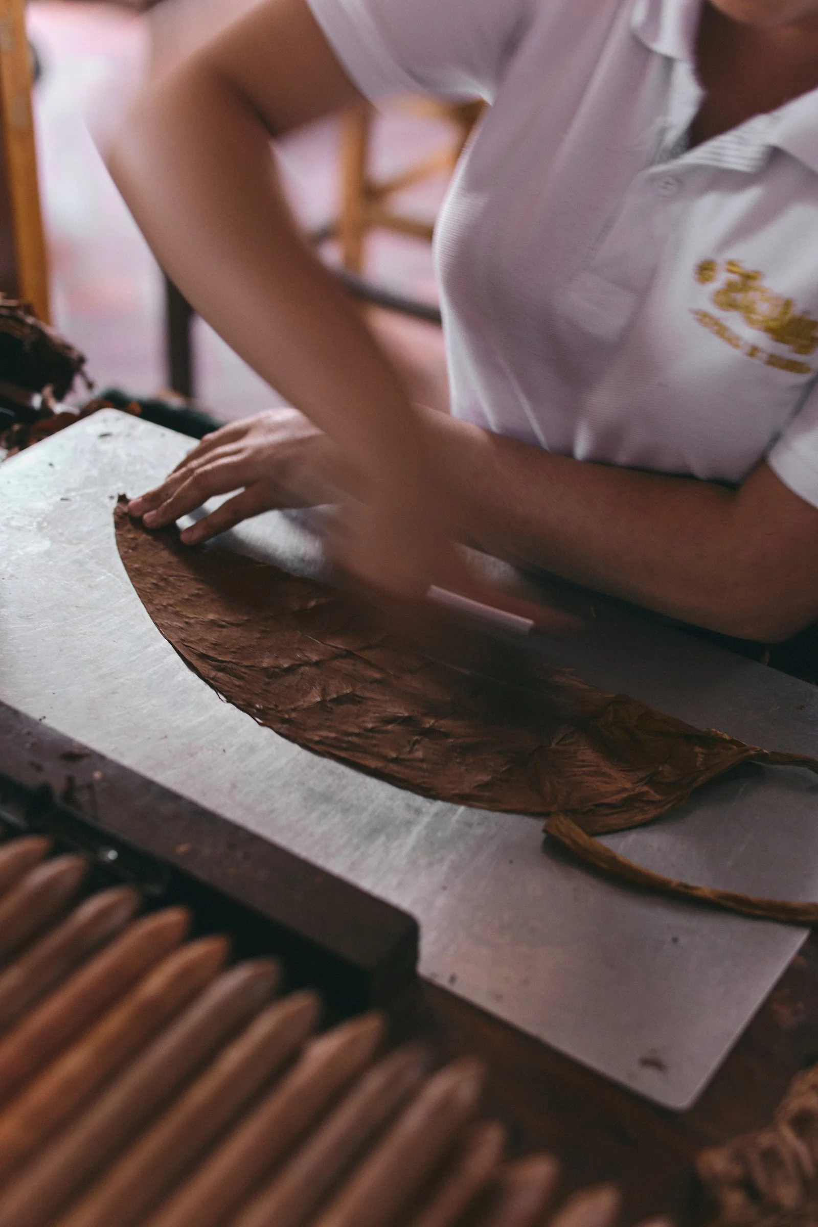 A torcedora hand-rolling a cigar at the Bribón factory in Barichara, Colombia.