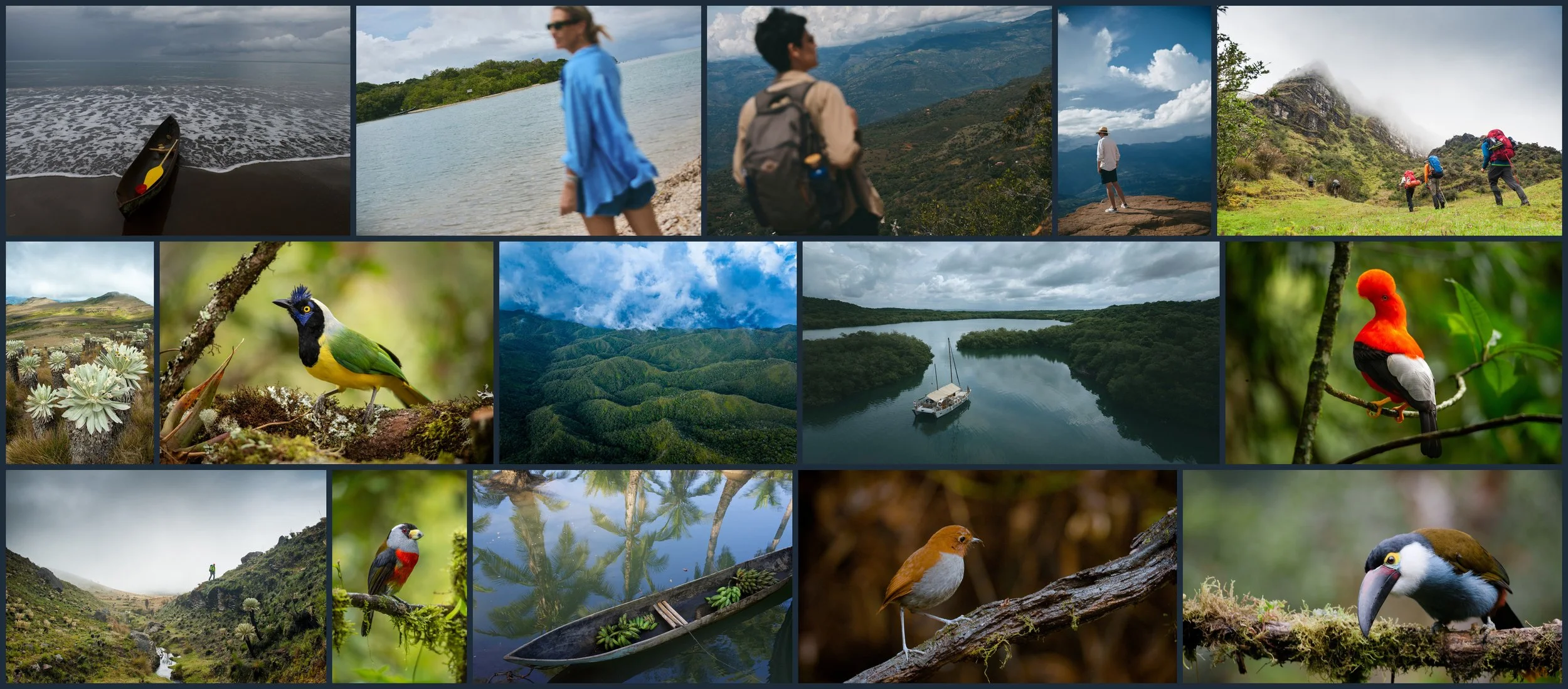Biodiversity is one of the reasons why Colombia is a unique destination for guests to discover. WhereNext Travel Colombia builds tailor-made itineraries that explore the biodiversity of the country.