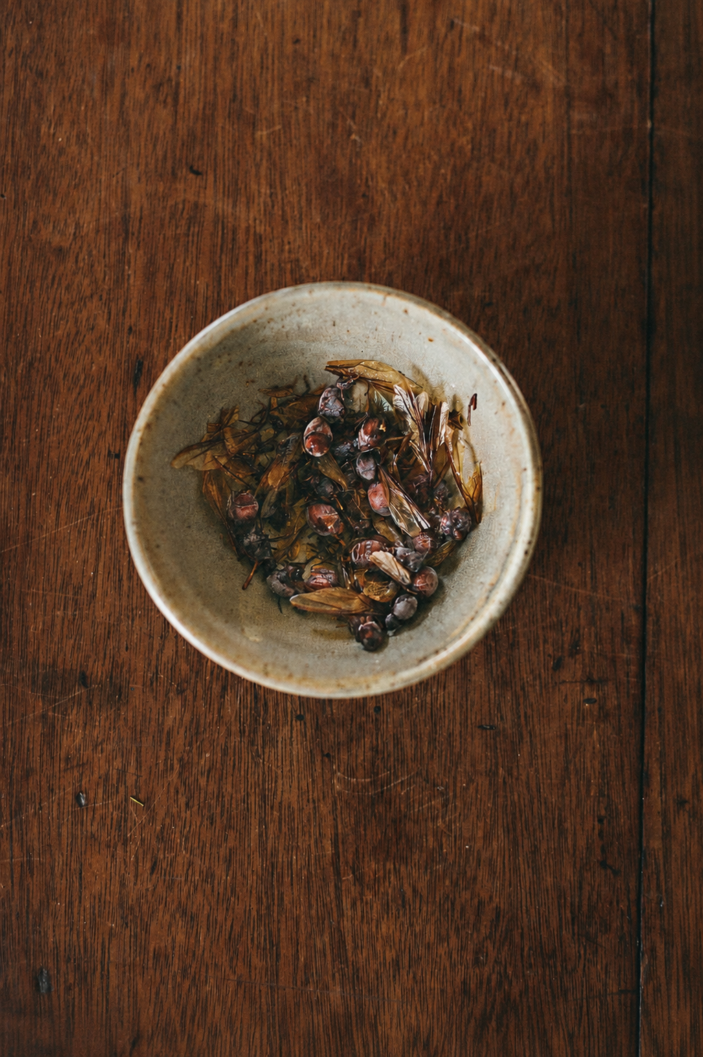 A bowl of hormigas culonas awaits the first tasting during the Fancy Ant Tasting experience in Barichara, Santander, Colombia.