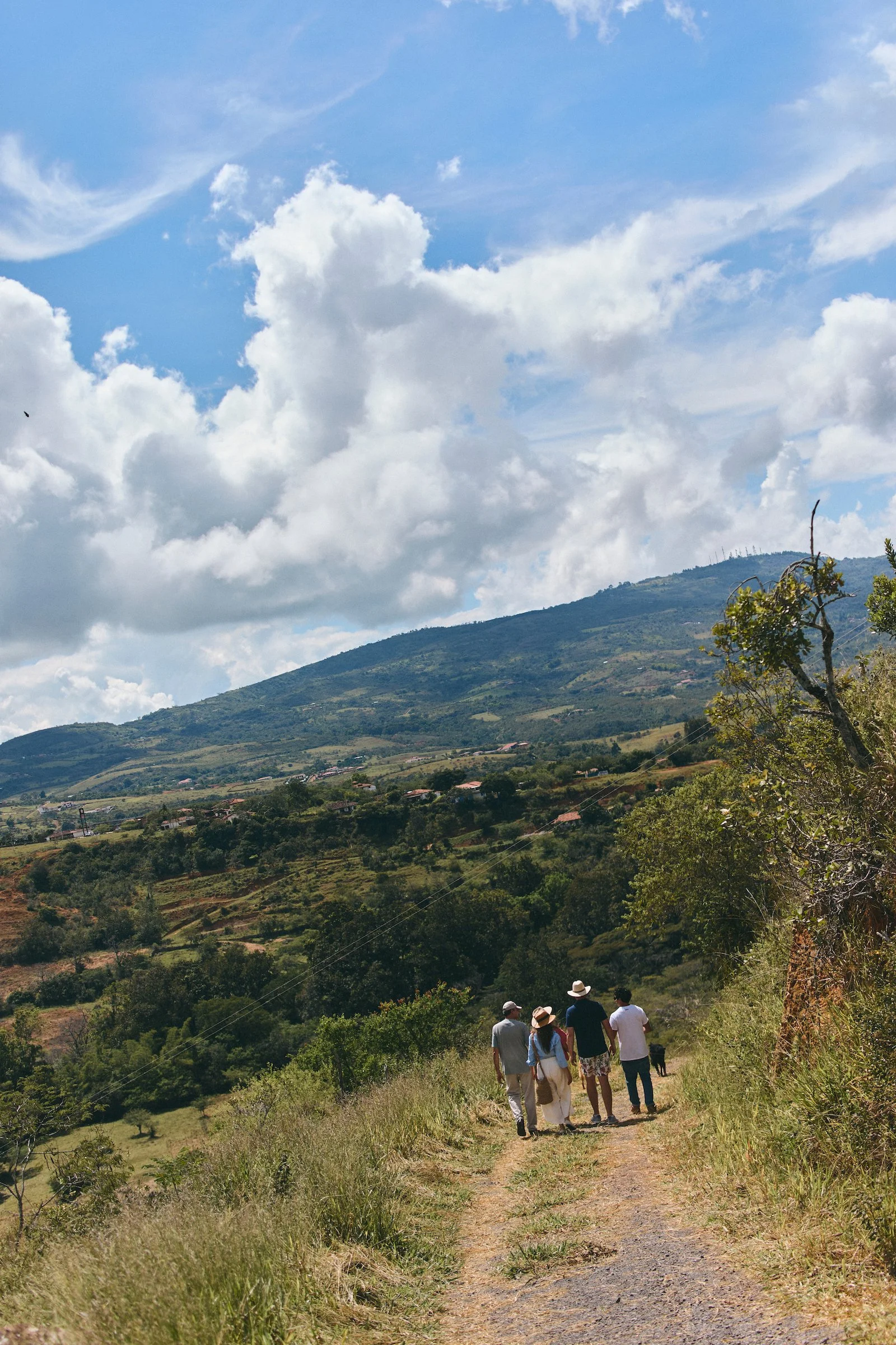 A private group walks through the hills and coffee-growing landscape surrounding Alfania Coffee Farm near Barichara.